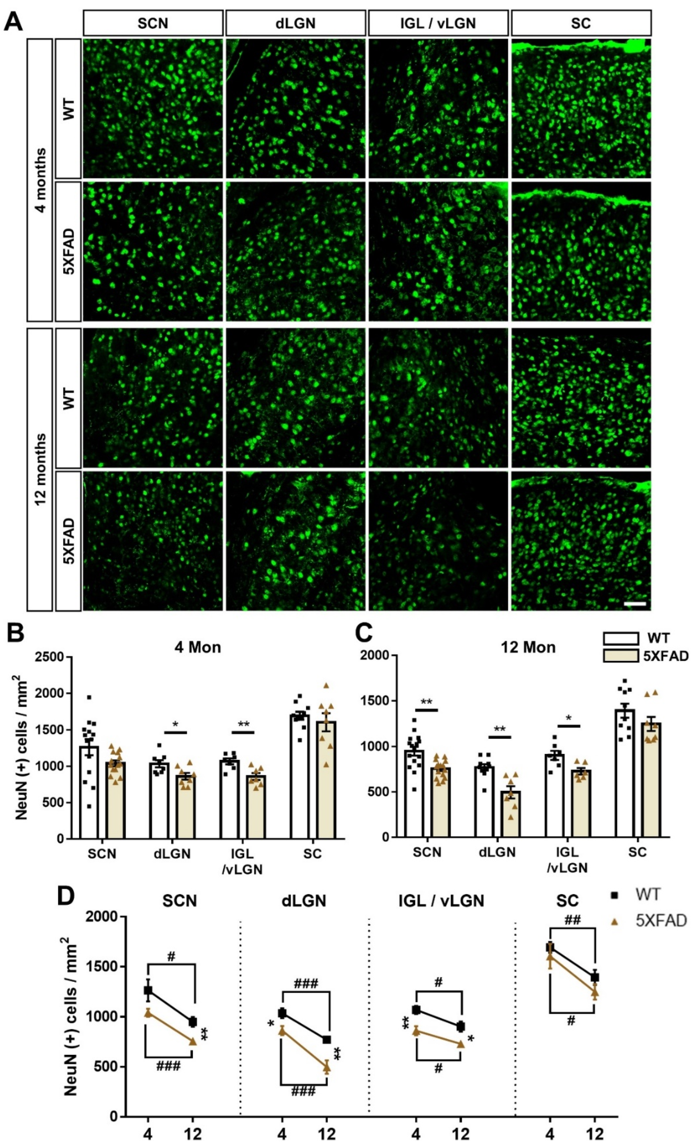Cells 11 03901 g008 Cells 11 03901 g008