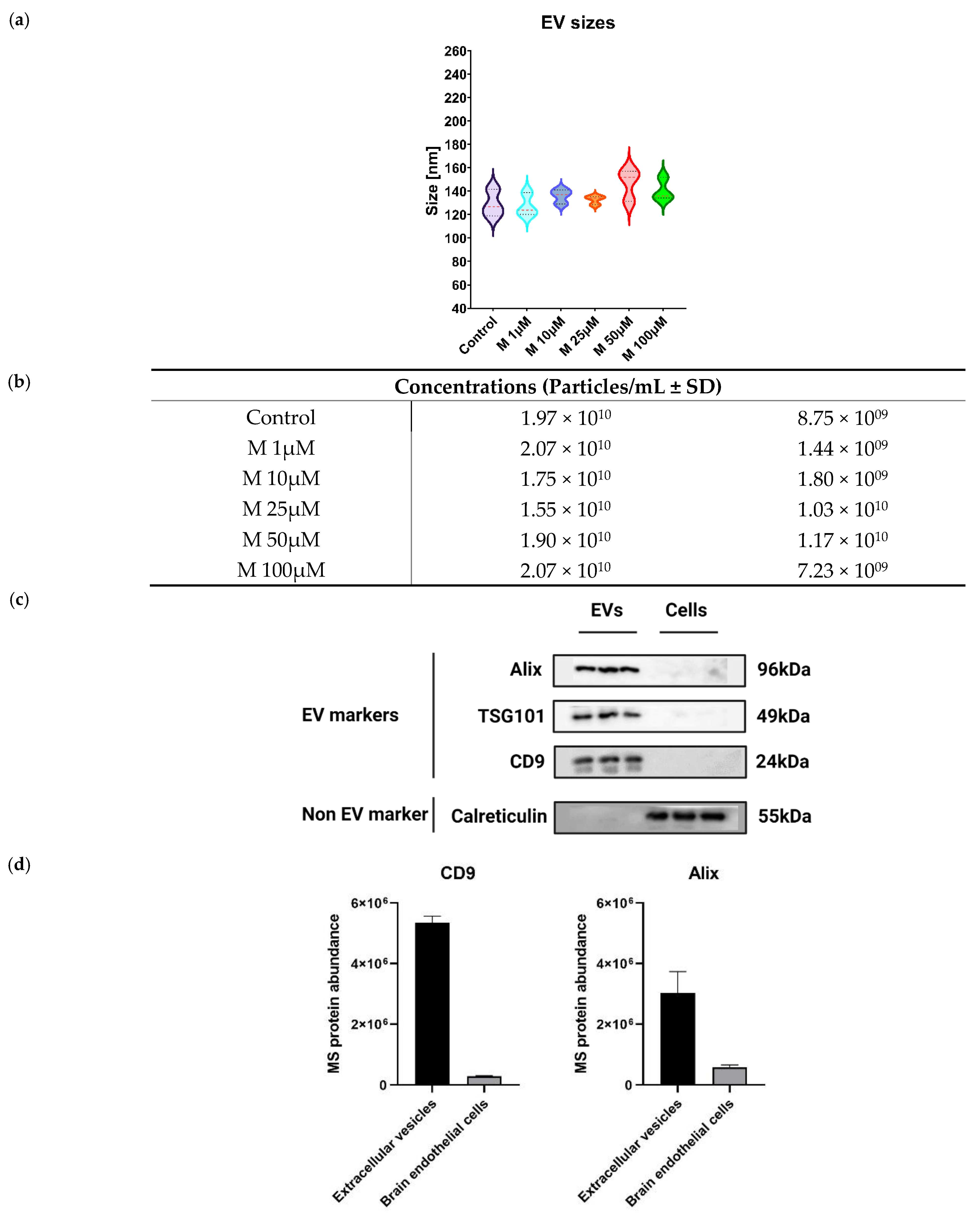 Cells 11 03926 g002a Cells 11 03926 g002a
