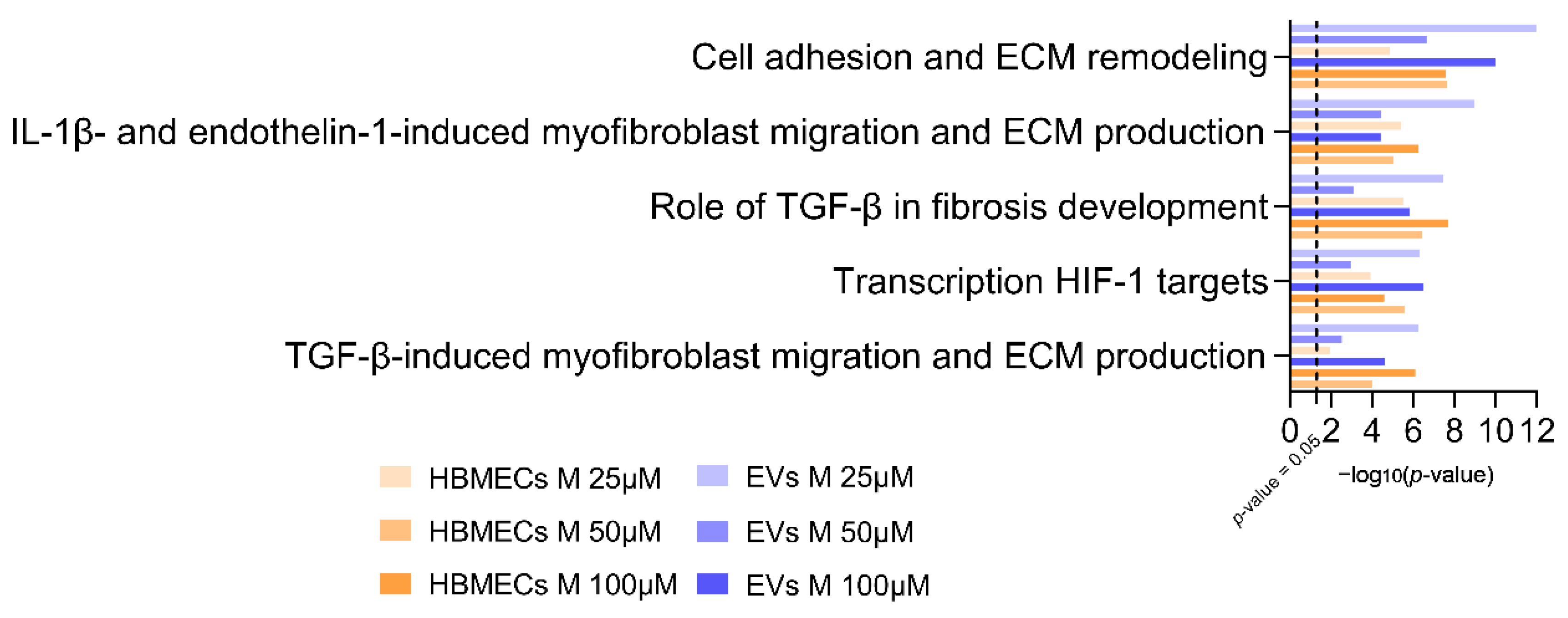 Cells 11 03926 g004 Cells 11 03926 g004