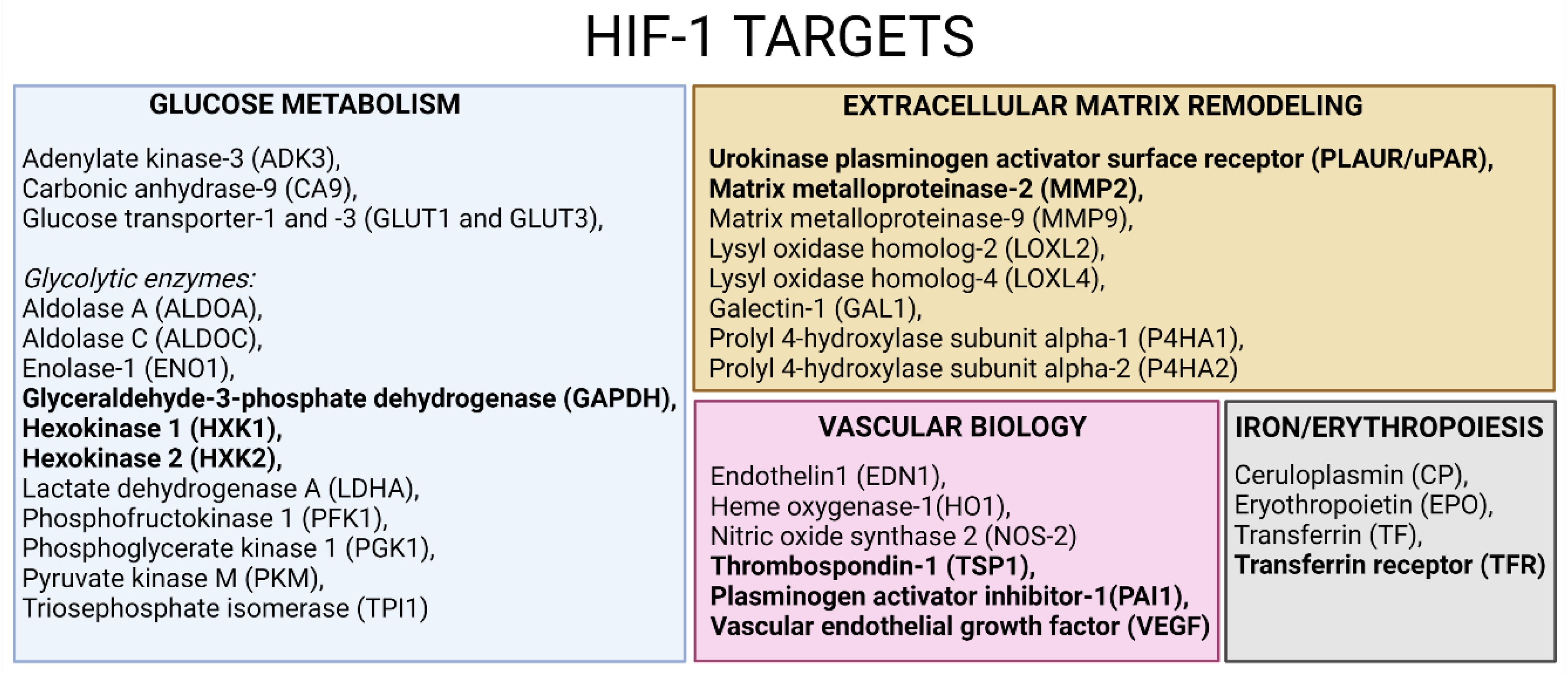 Cells 11 03926 g005 Cells 11 03926 g005