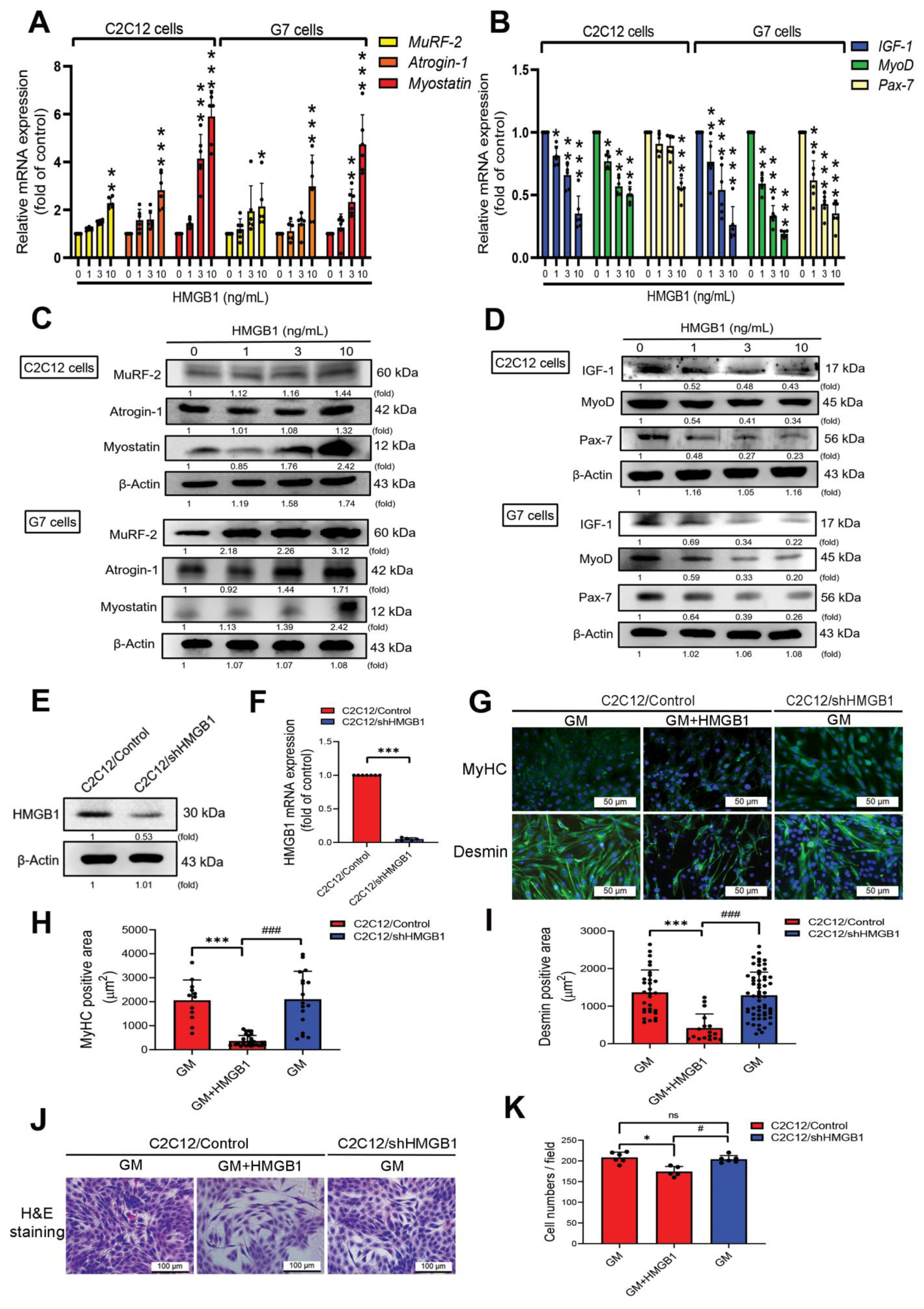 Cells 11 03936 g001 Cells 11 03936 g001