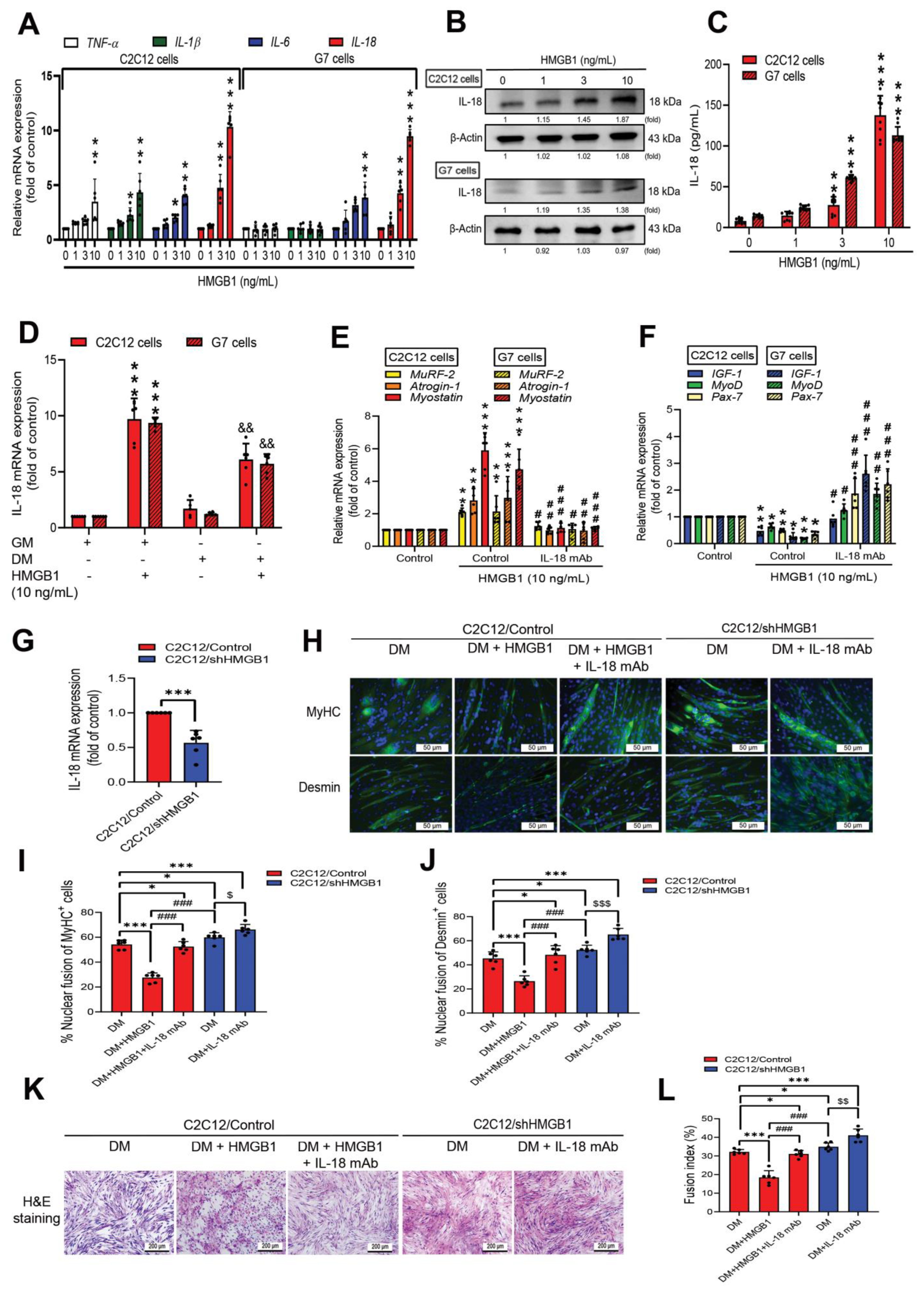 Cells 11 03936 g002 Cells 11 03936 g002
