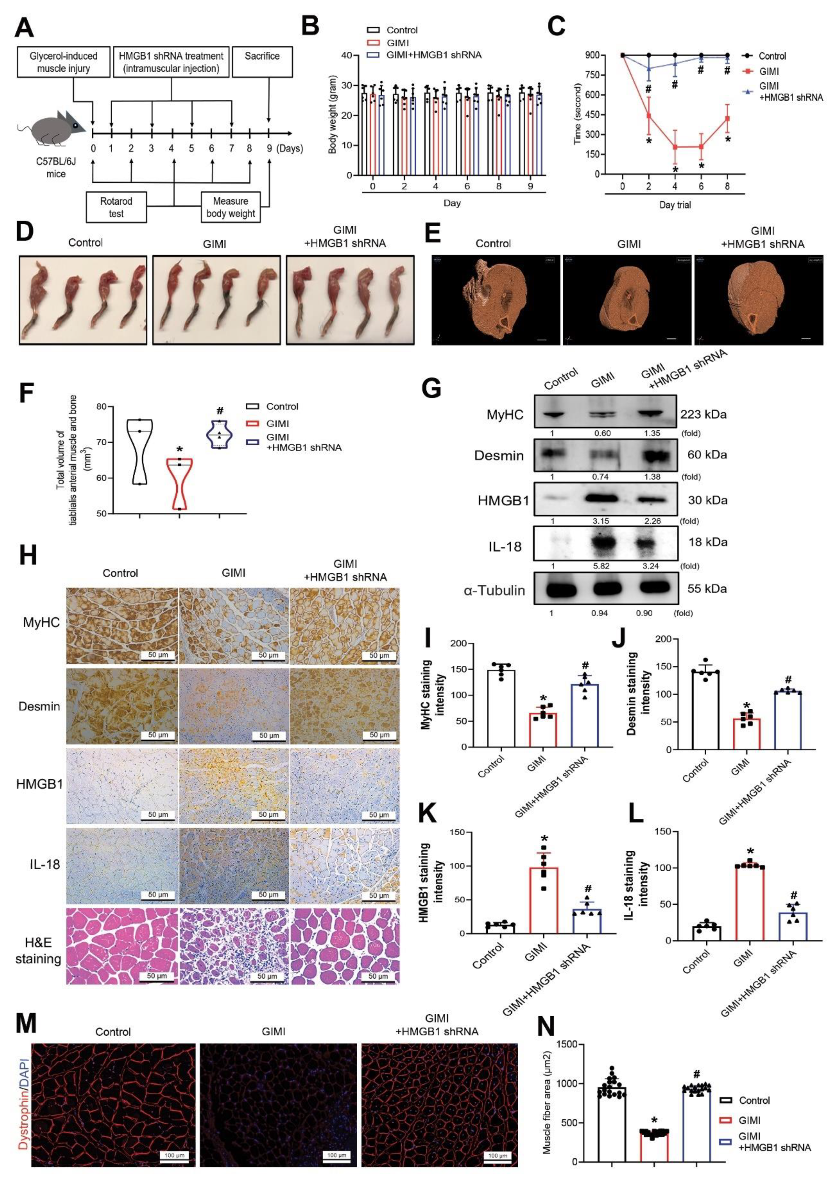 Cells 11 03936 g006 Cells 11 03936 g006