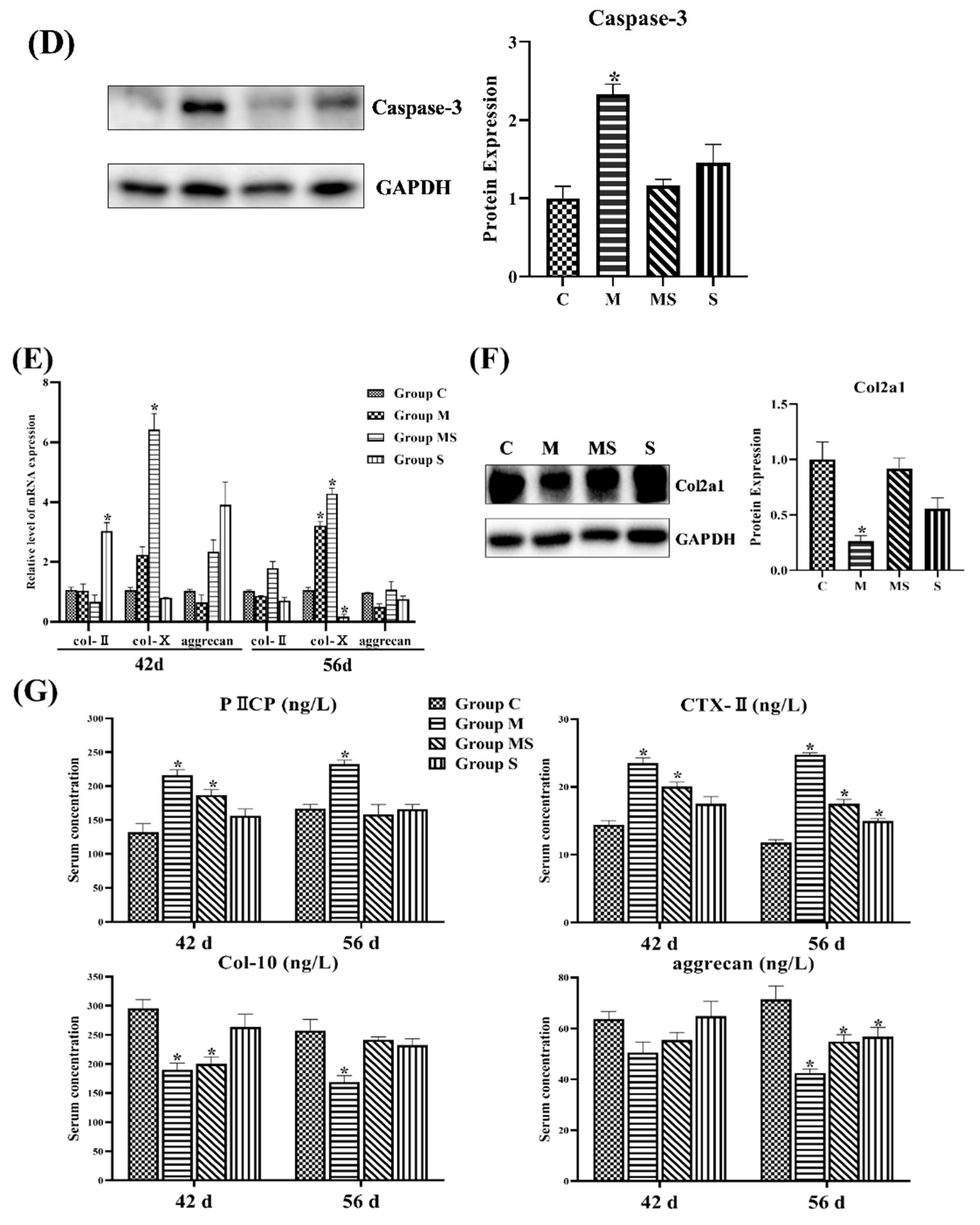Cells 11 03945 g001b