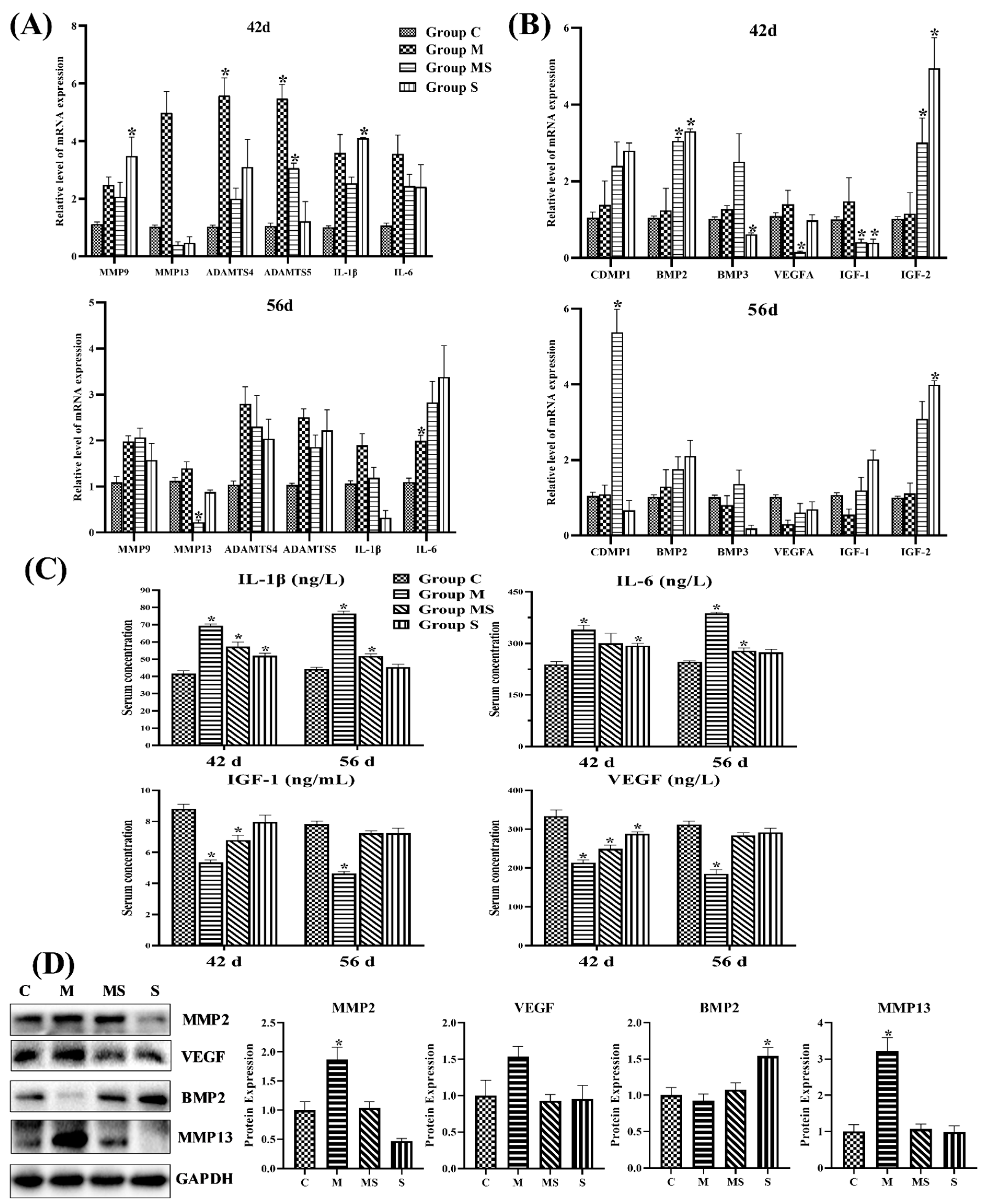 Cells 11 03945 g004a