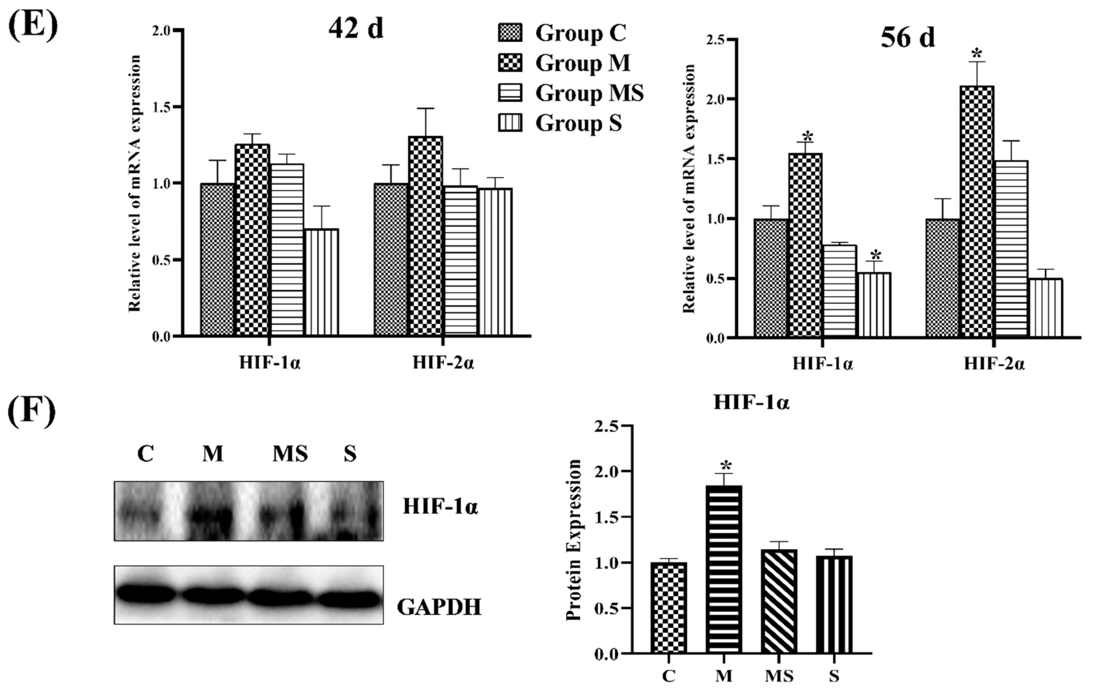 Cells 11 03945 g004b