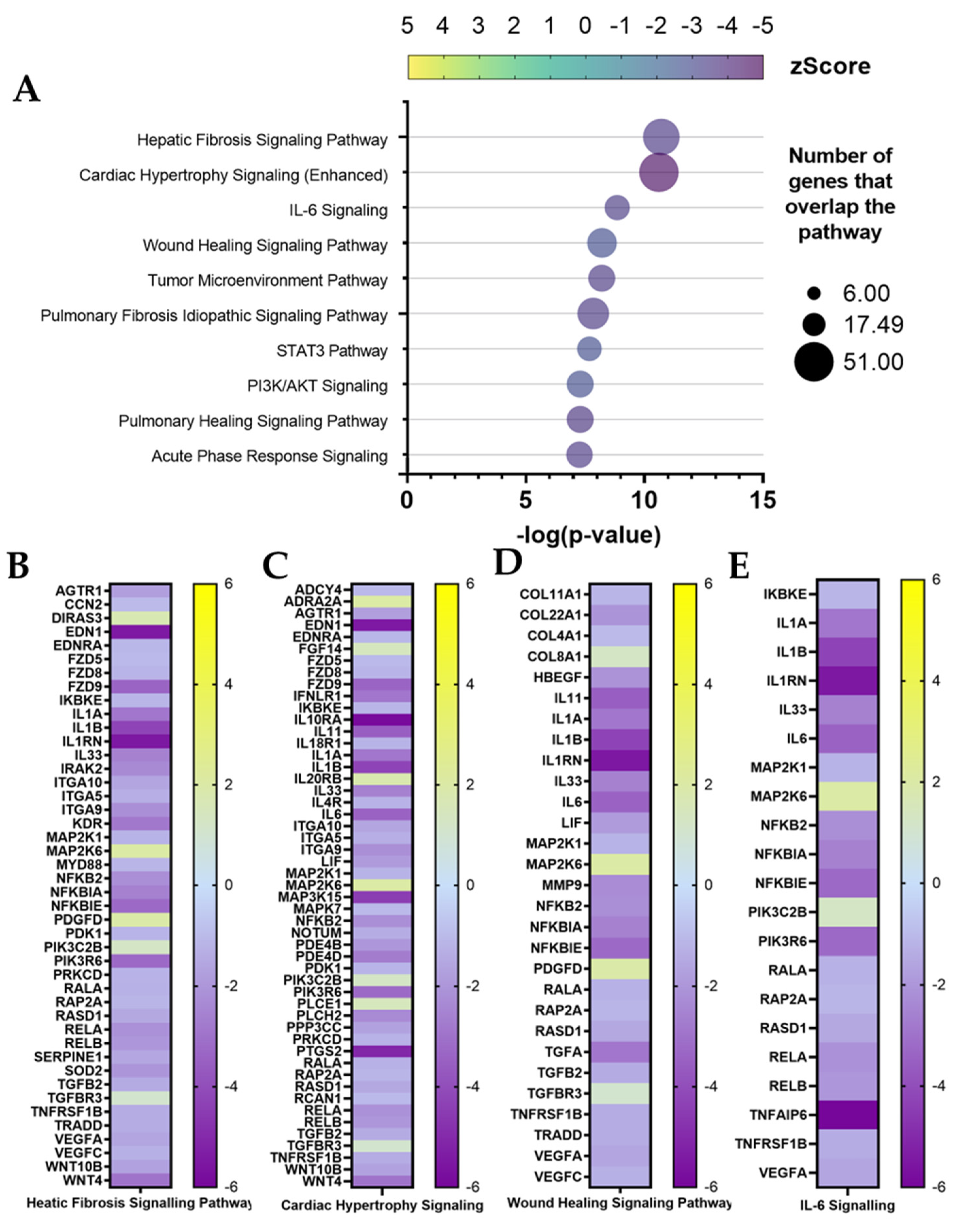 Cells 11 03950 g007 Cells 11 03950 g007