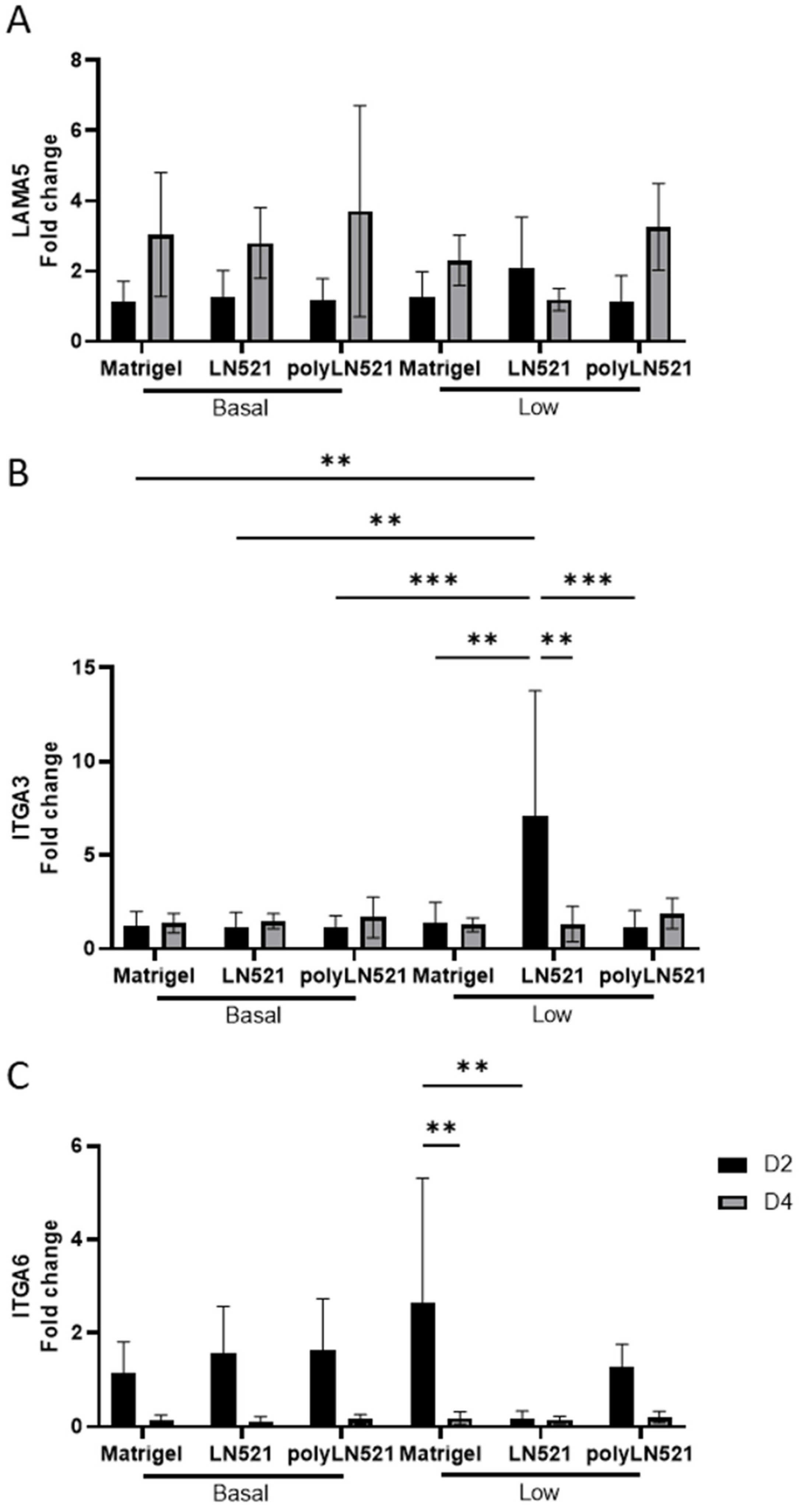 Cells 11 03955 g004 Cells 11 03955 g004