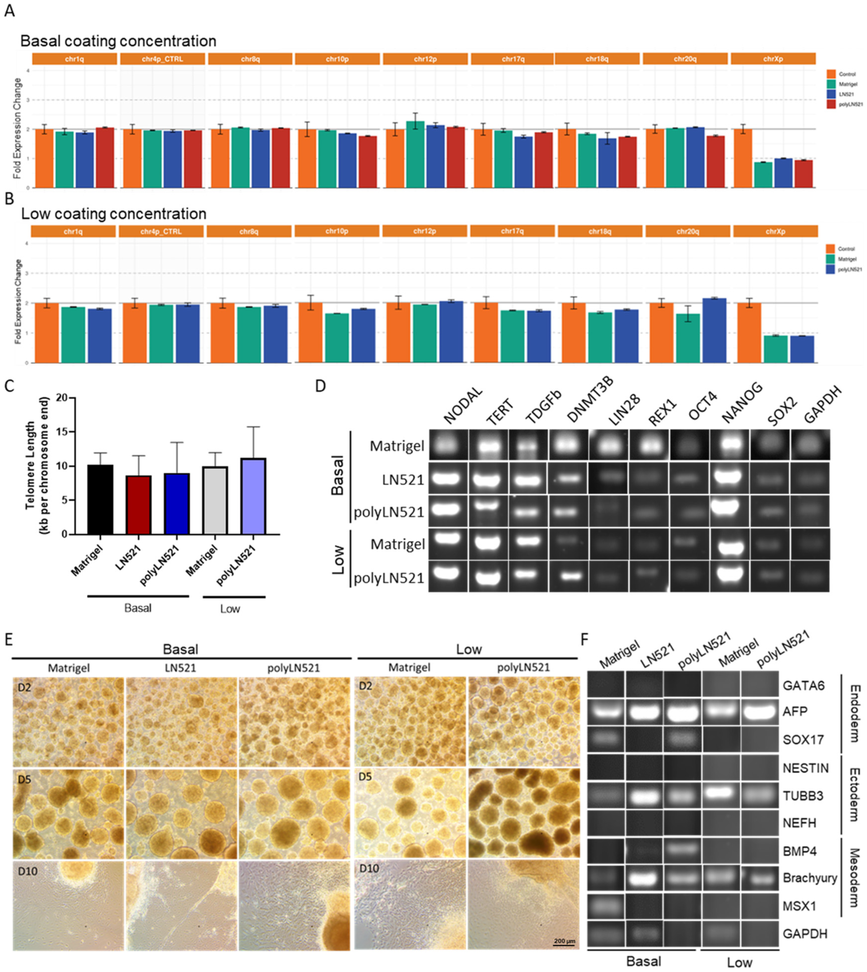 Cells 11 03955 g005 Cells 11 03955 g005