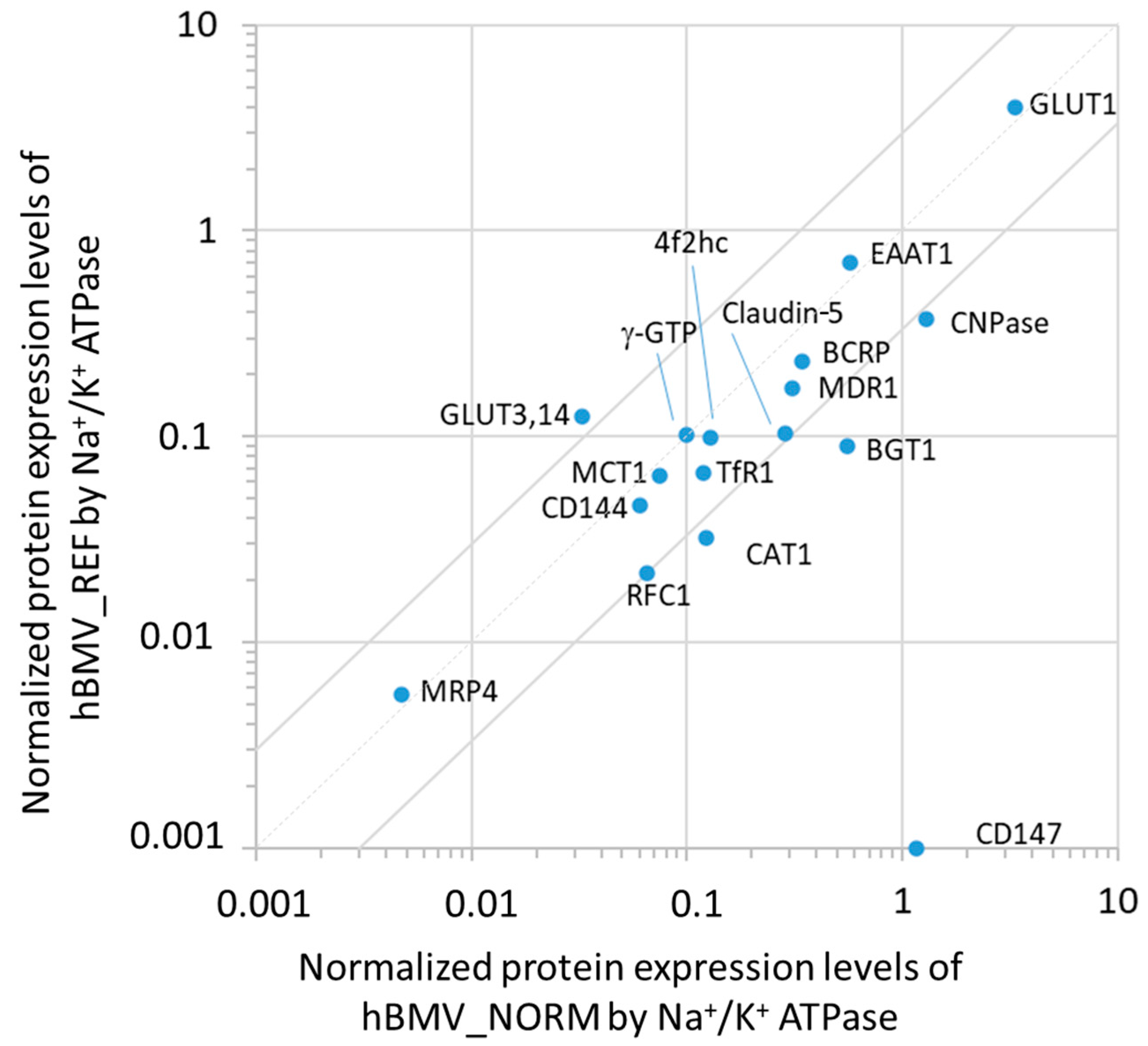 Cells 11 03963 g001 Cells 11 03963 g001