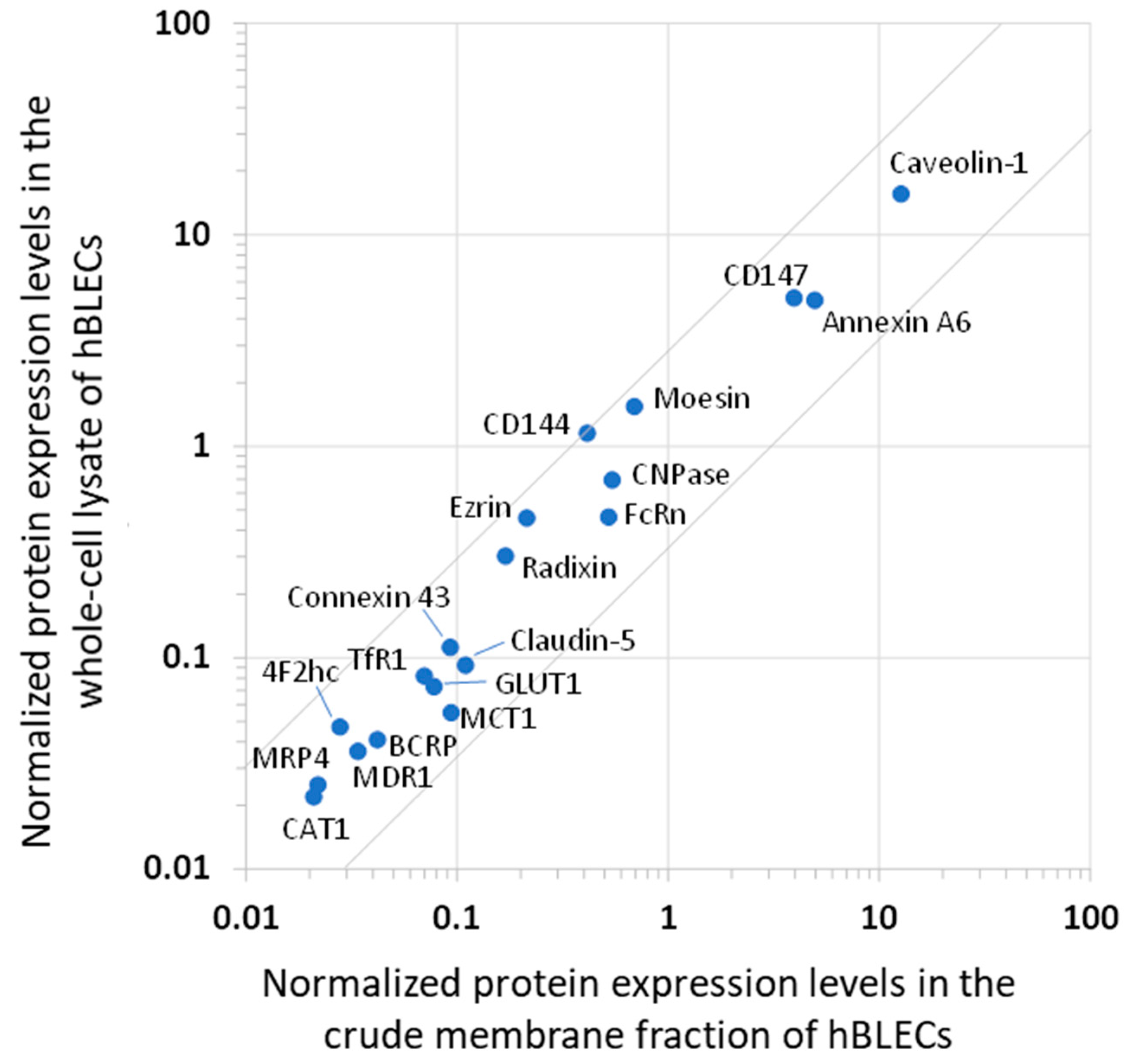 Cells 11 03963 g002 Cells 11 03963 g002