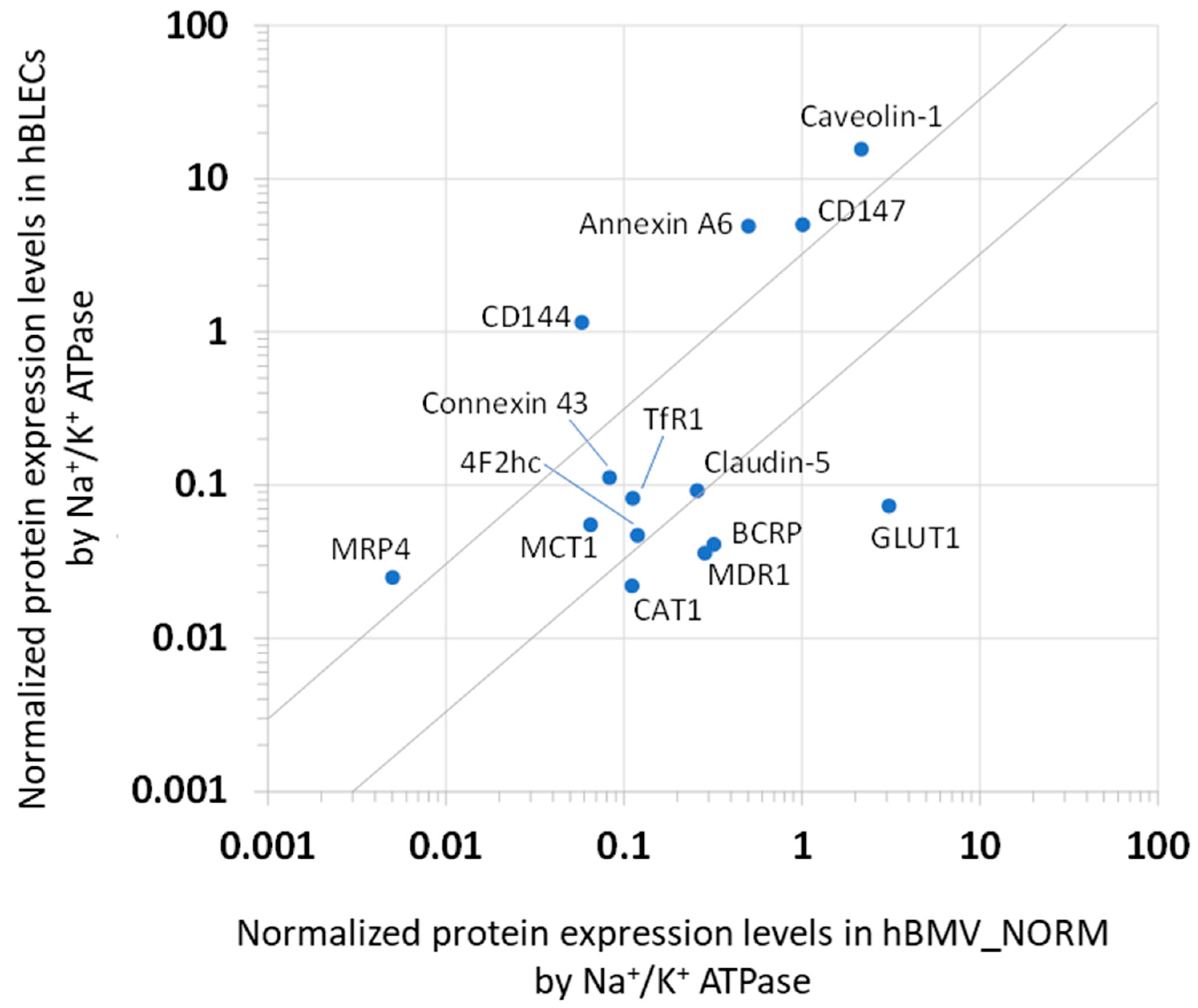 Cells 11 03963 g003 Cells 11 03963 g003