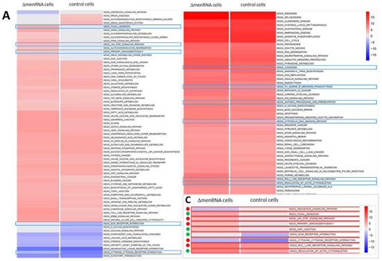 Cells 11 03970 g002a