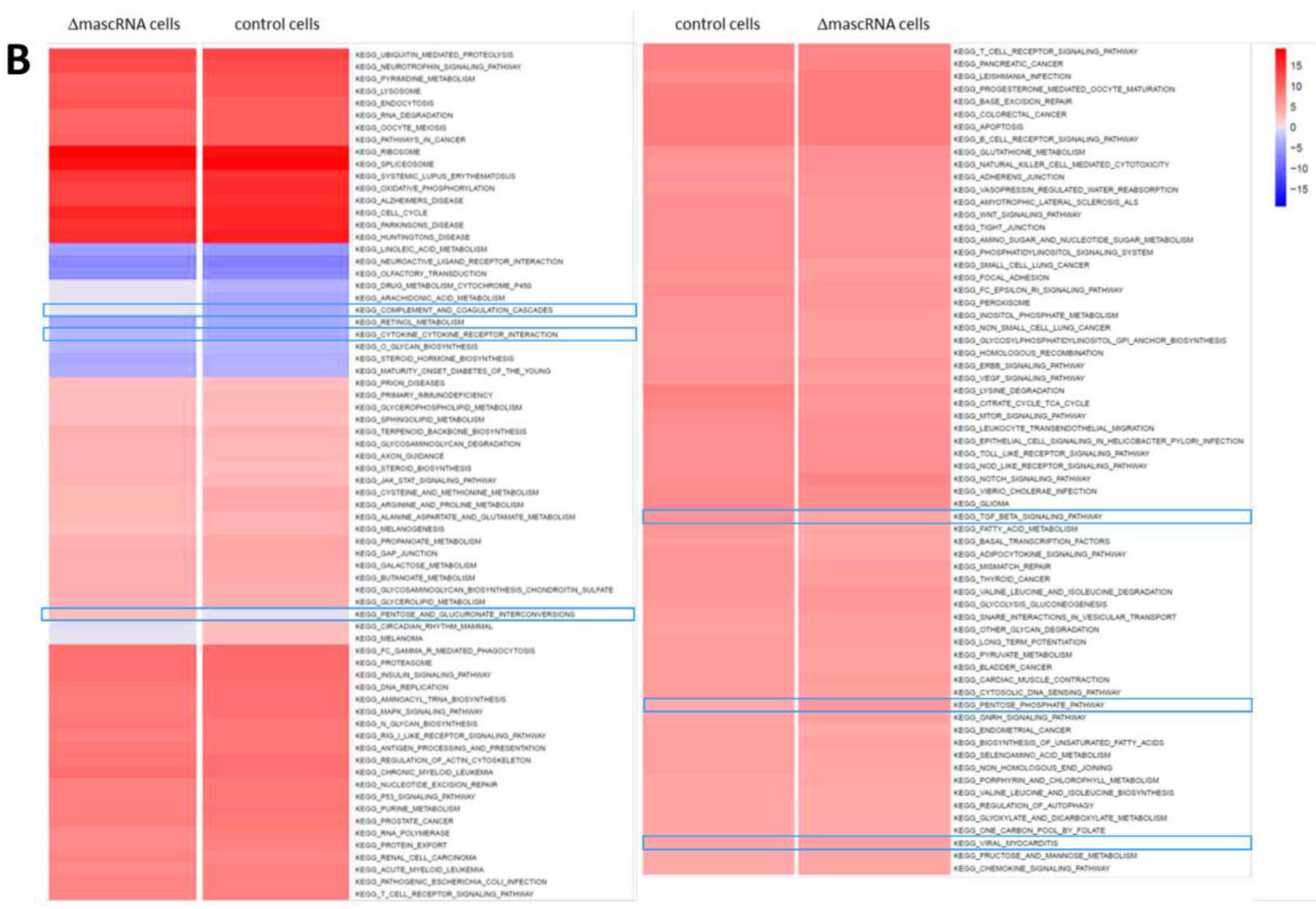 Cells 11 03970 g002b