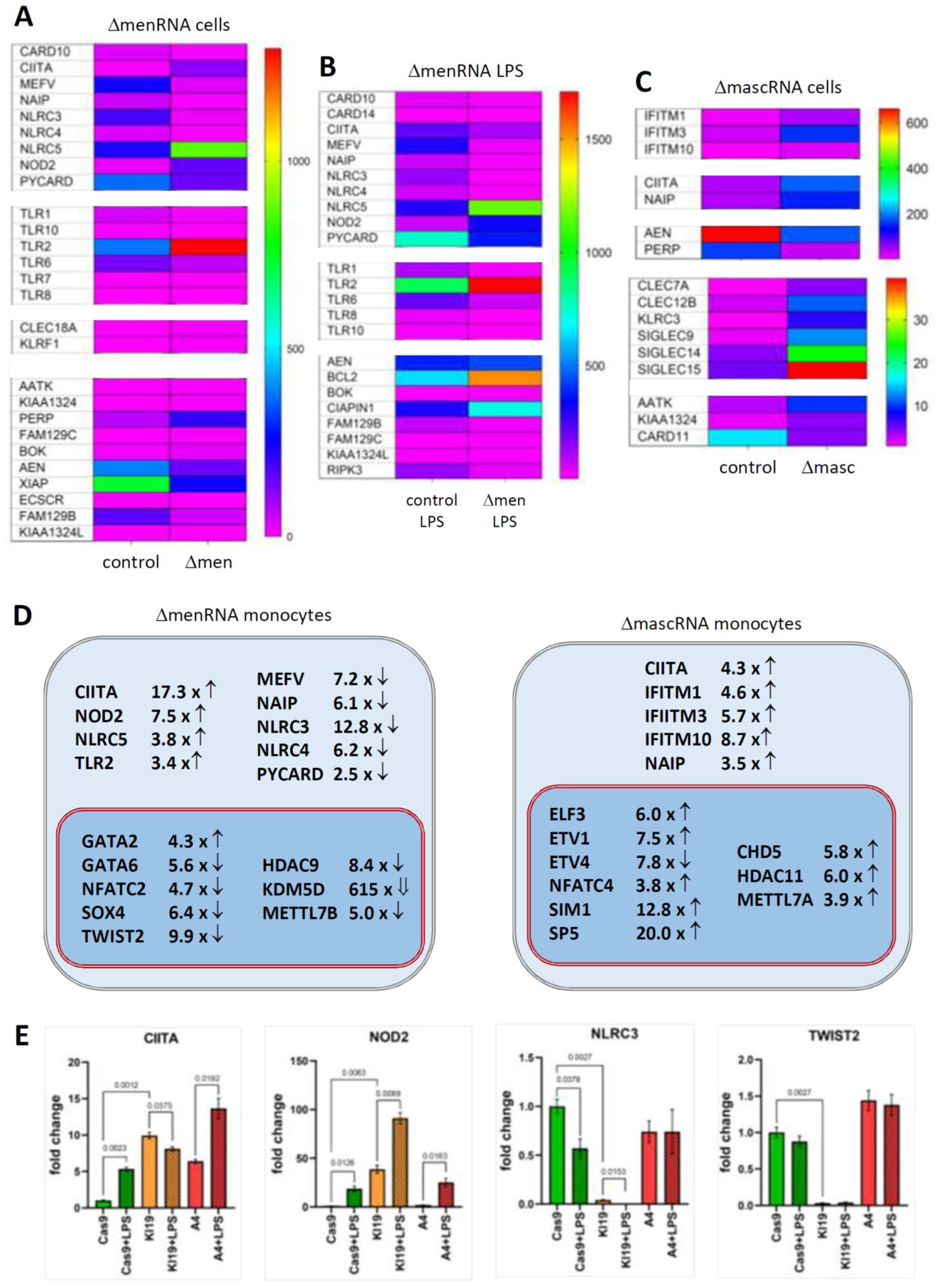 Cells 11 03970 g003a