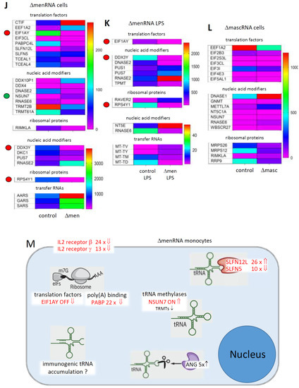 Cells 11 03970 g003c