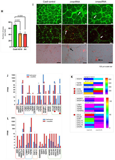 Cells 11 03970 g005b