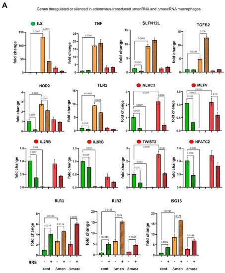 Cells 11 03970 g006a