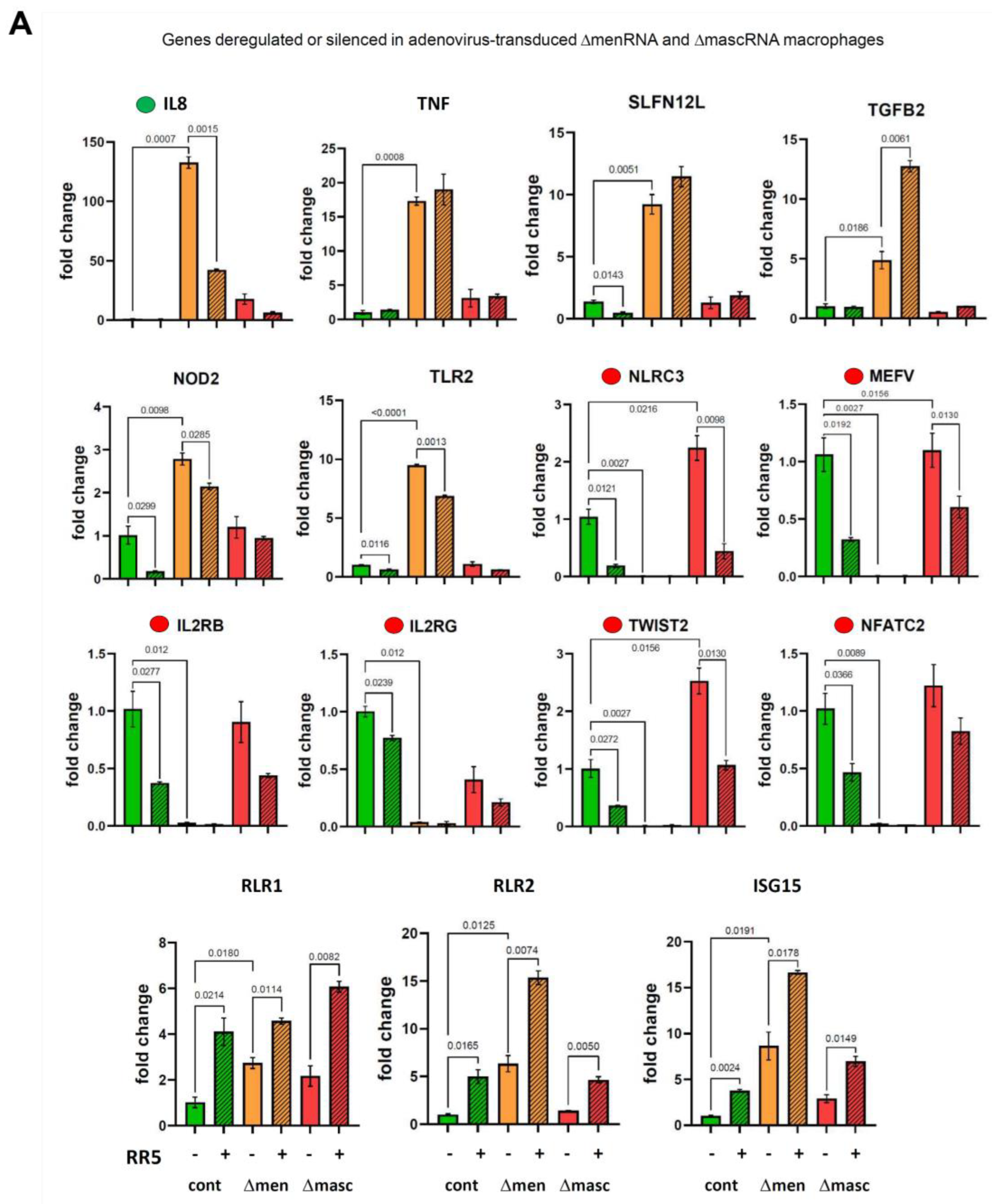 Cells 11 03970 g006a