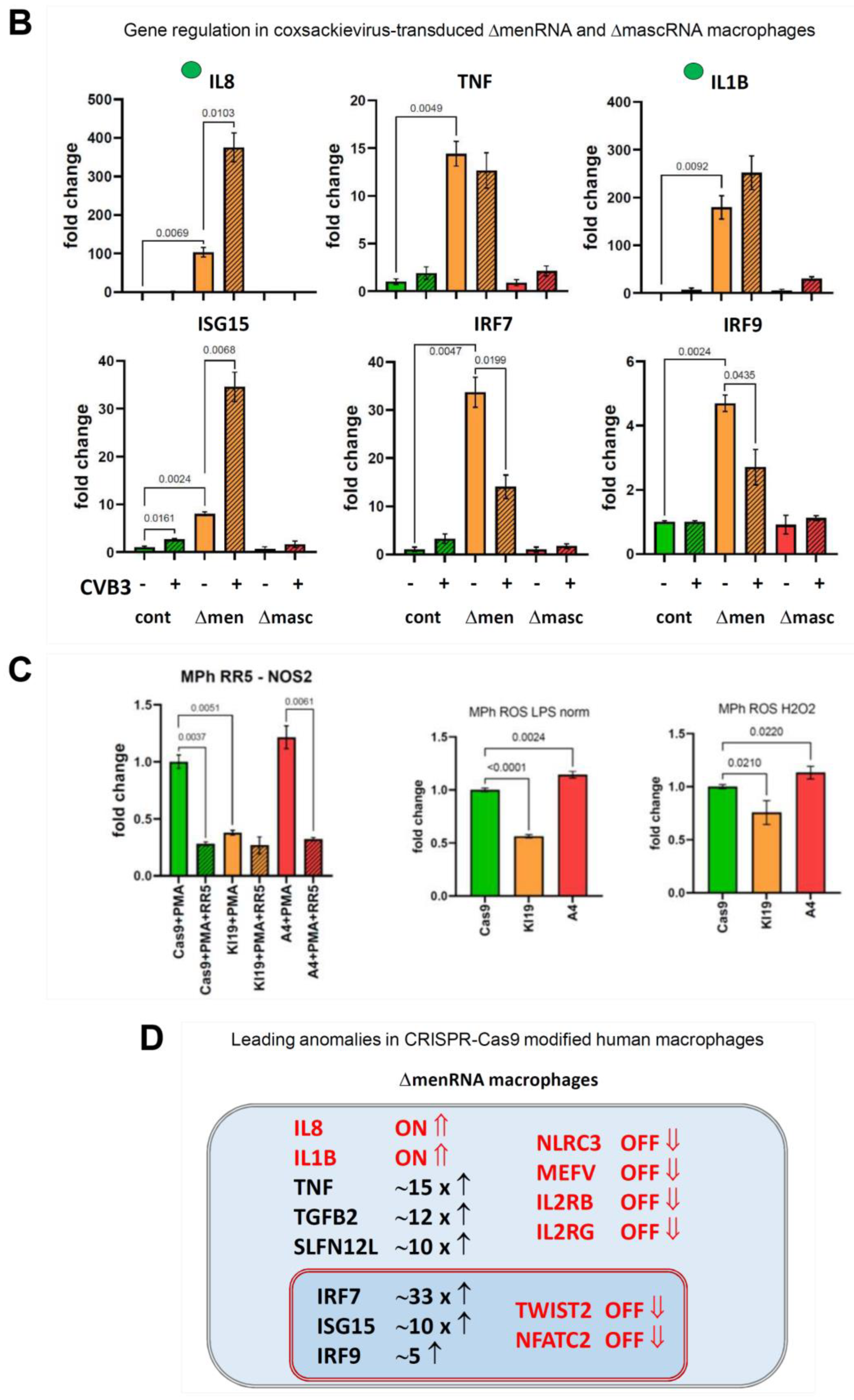 Cells 11 03970 g006b