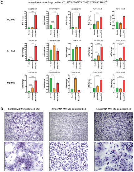 Cells 11 03970 g009b