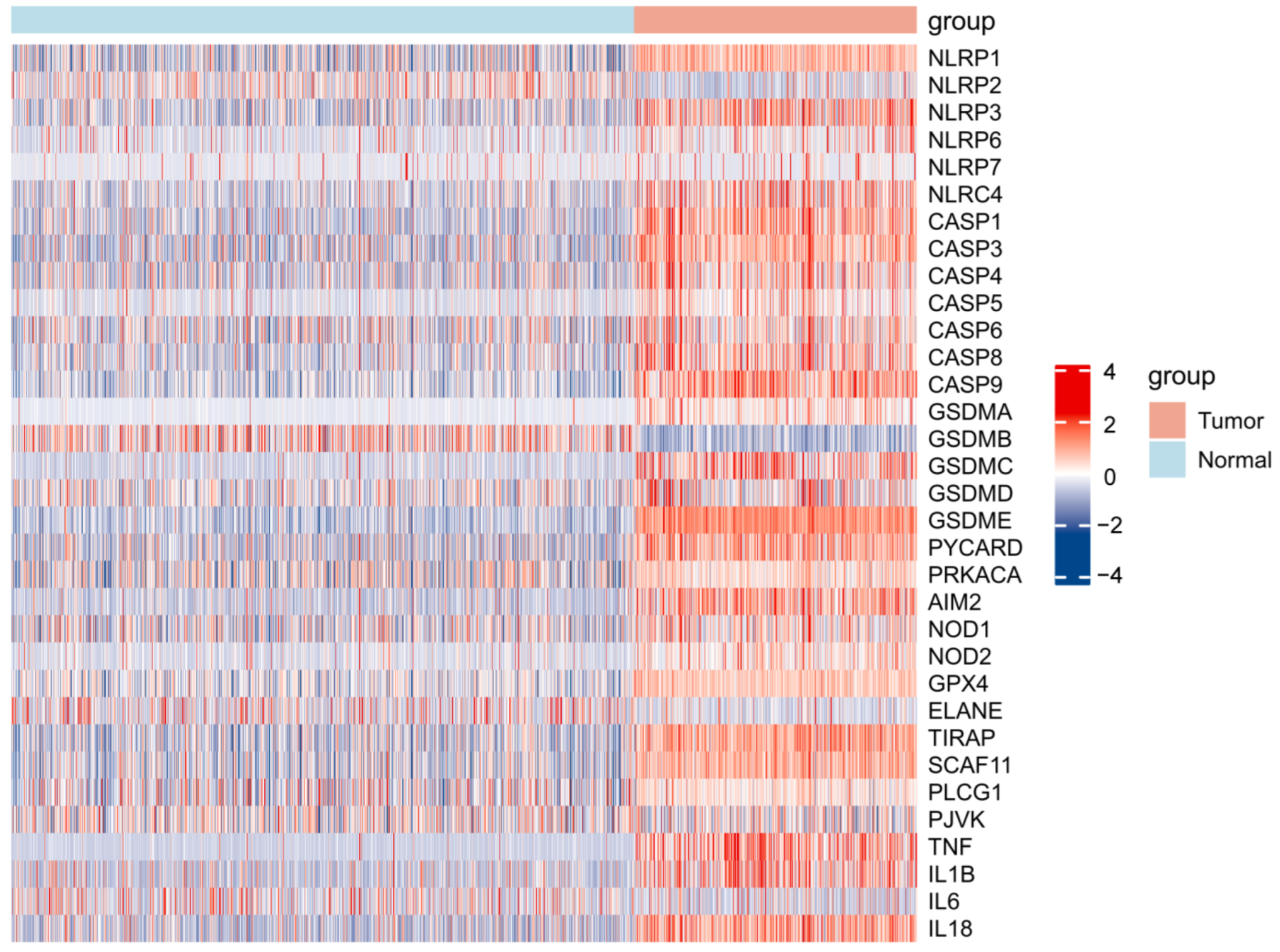 Cells 11 03980 g001