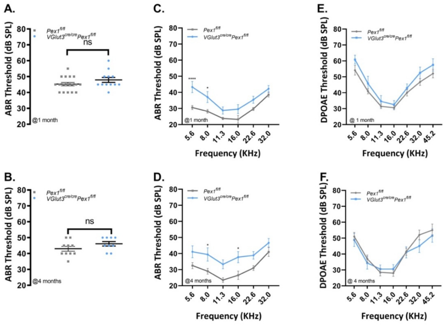 Cells 11 03982 g003 Cells 11 03982 g003