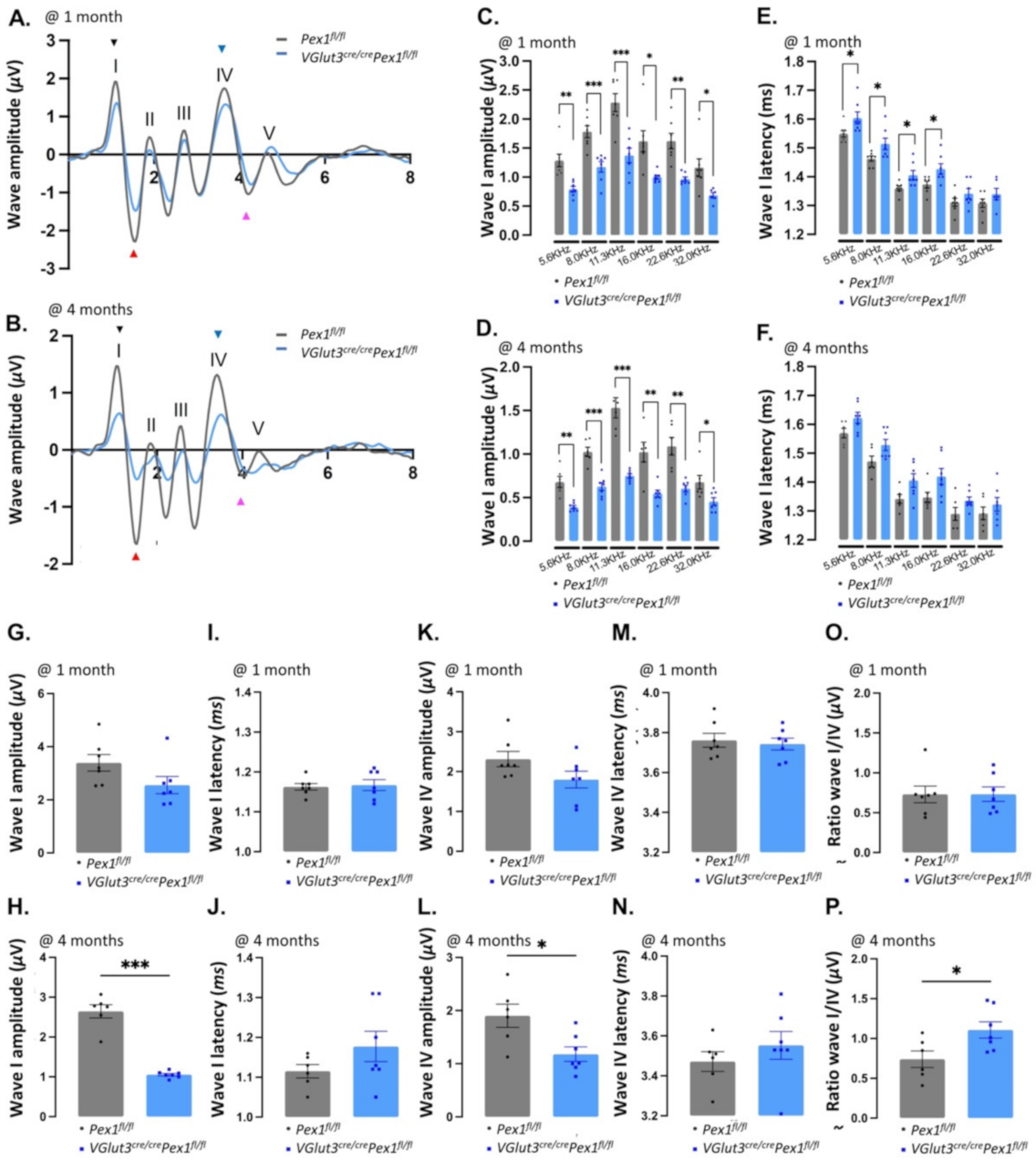 Cells 11 03982 g004 Cells 11 03982 g004