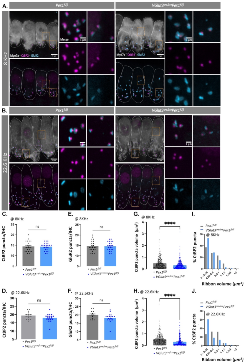 Cells 11 03982 g005 Cells 11 03982 g005