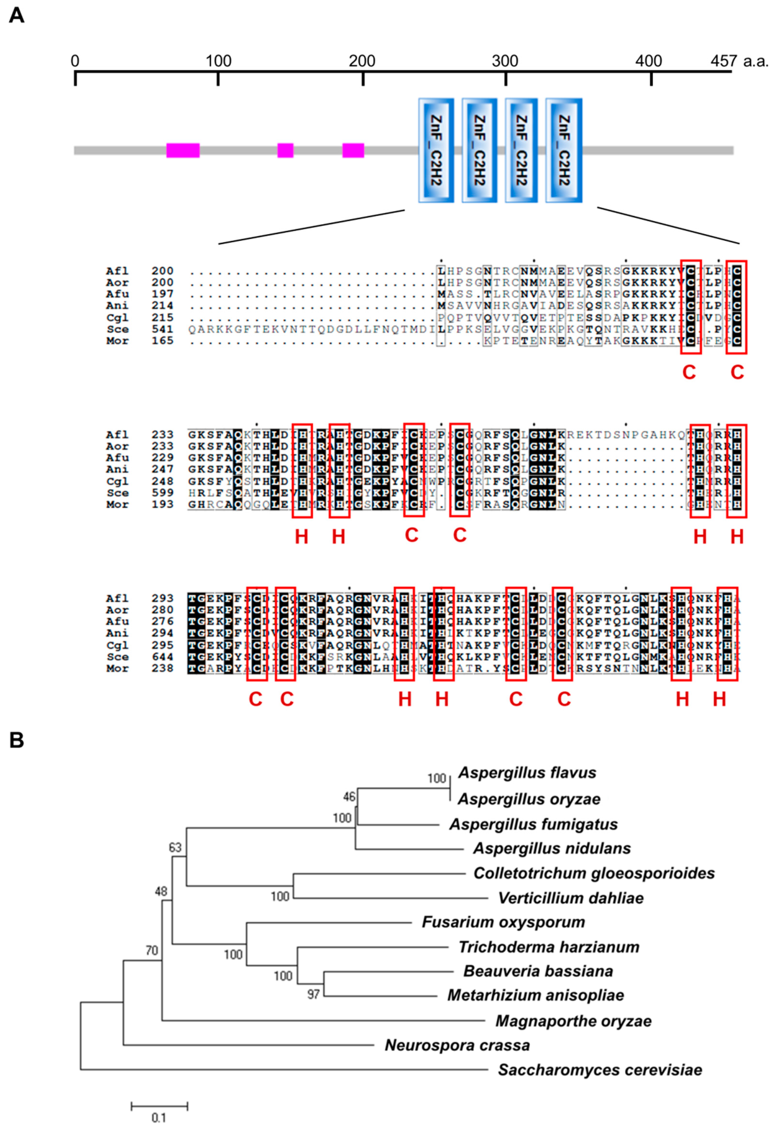Cells 11 03998 g001 Cells 11 03998 g001