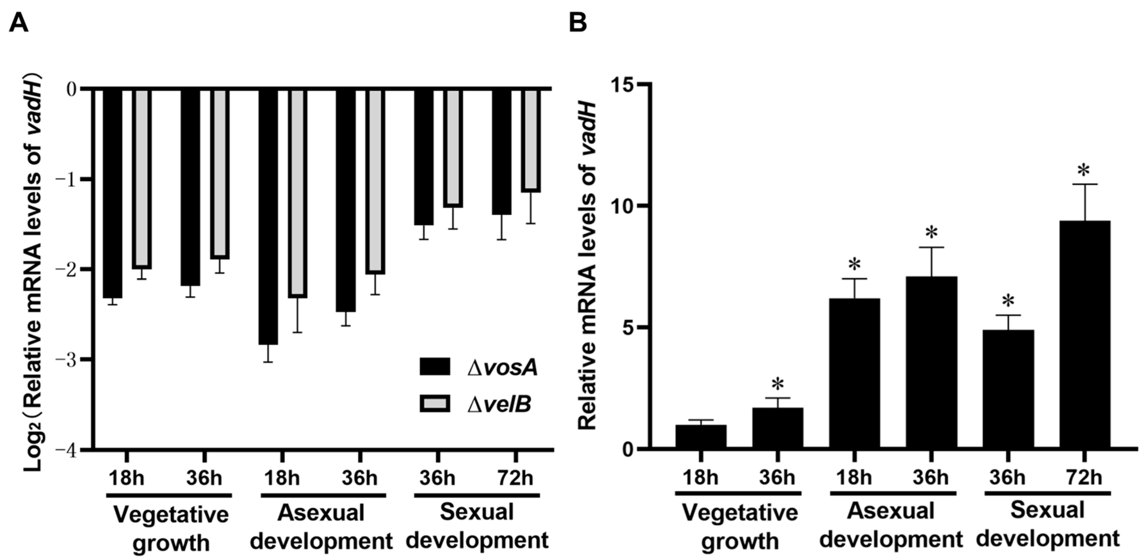 Cells 11 03998 g002 Cells 11 03998 g002