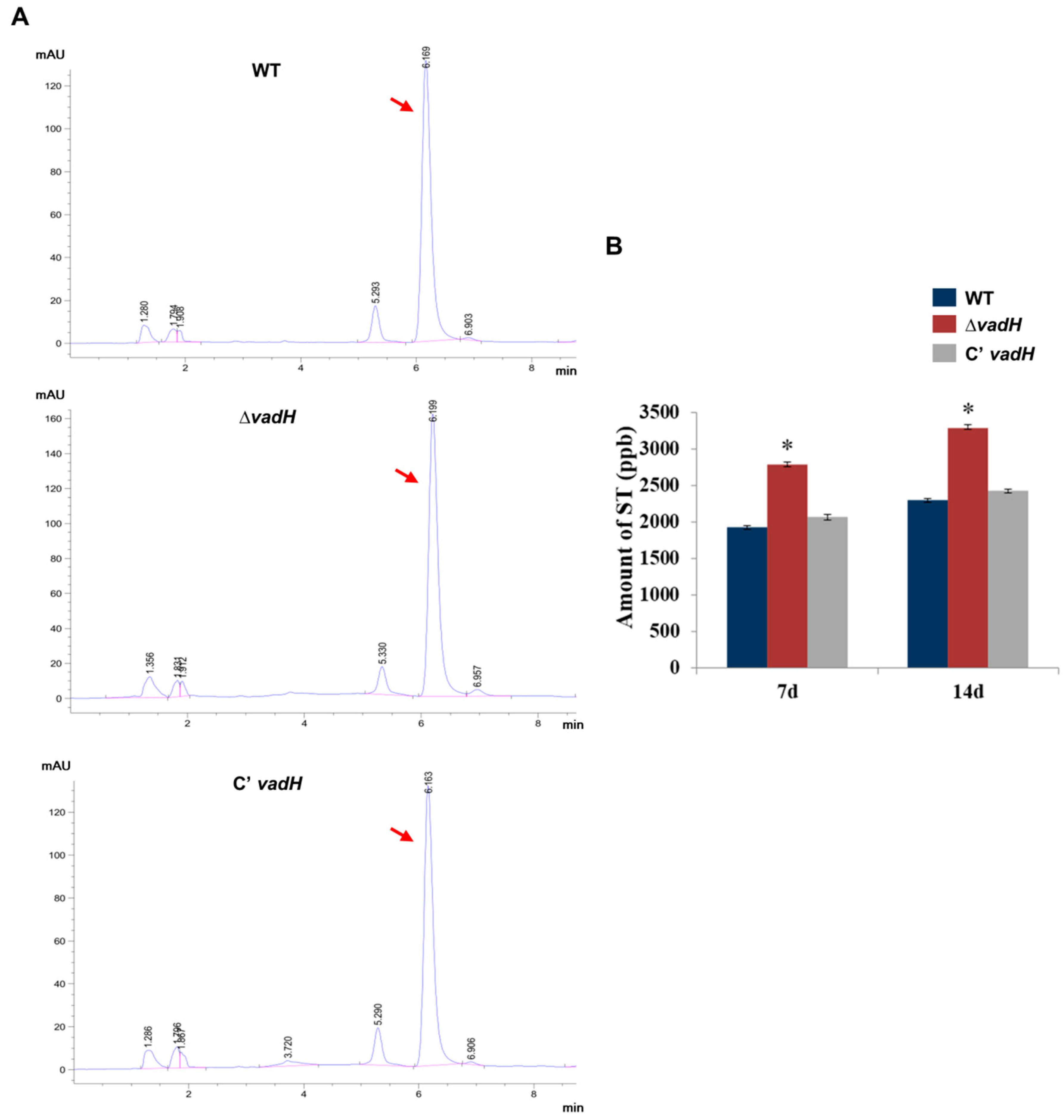 Cells 11 03998 g005 Cells 11 03998 g005