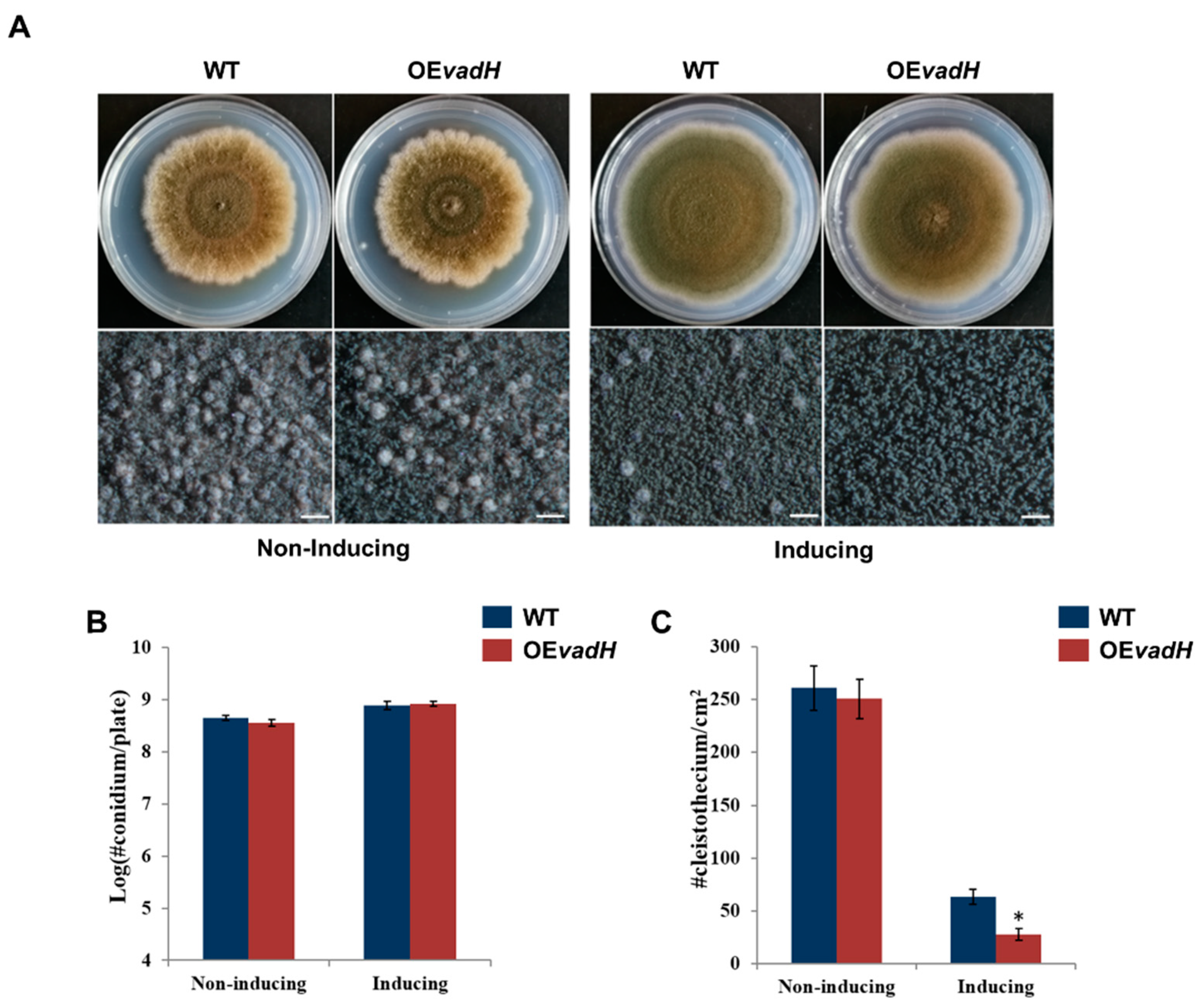 Cells 11 03998 g006 Cells 11 03998 g006