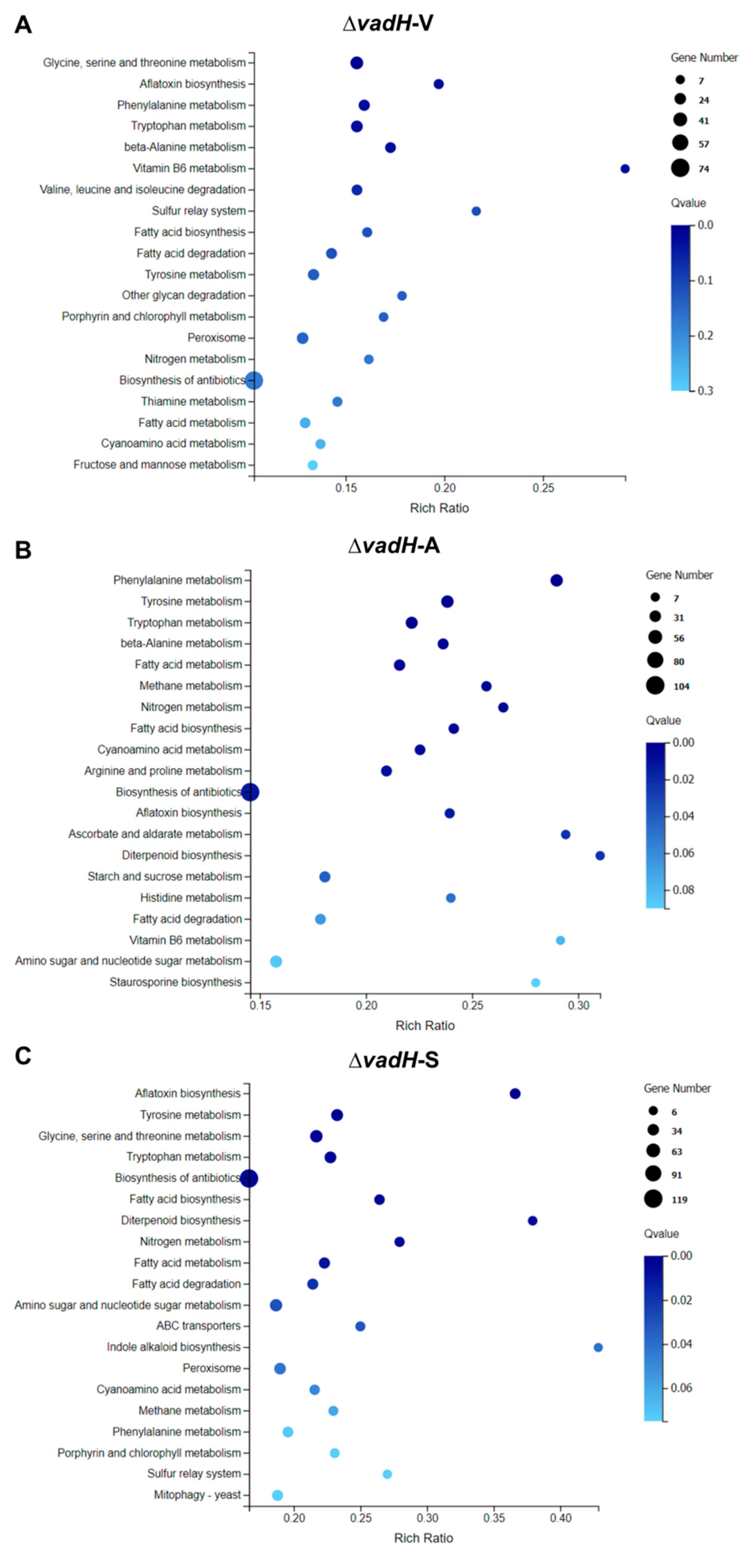 Cells 11 03998 g008 Cells 11 03998 g008