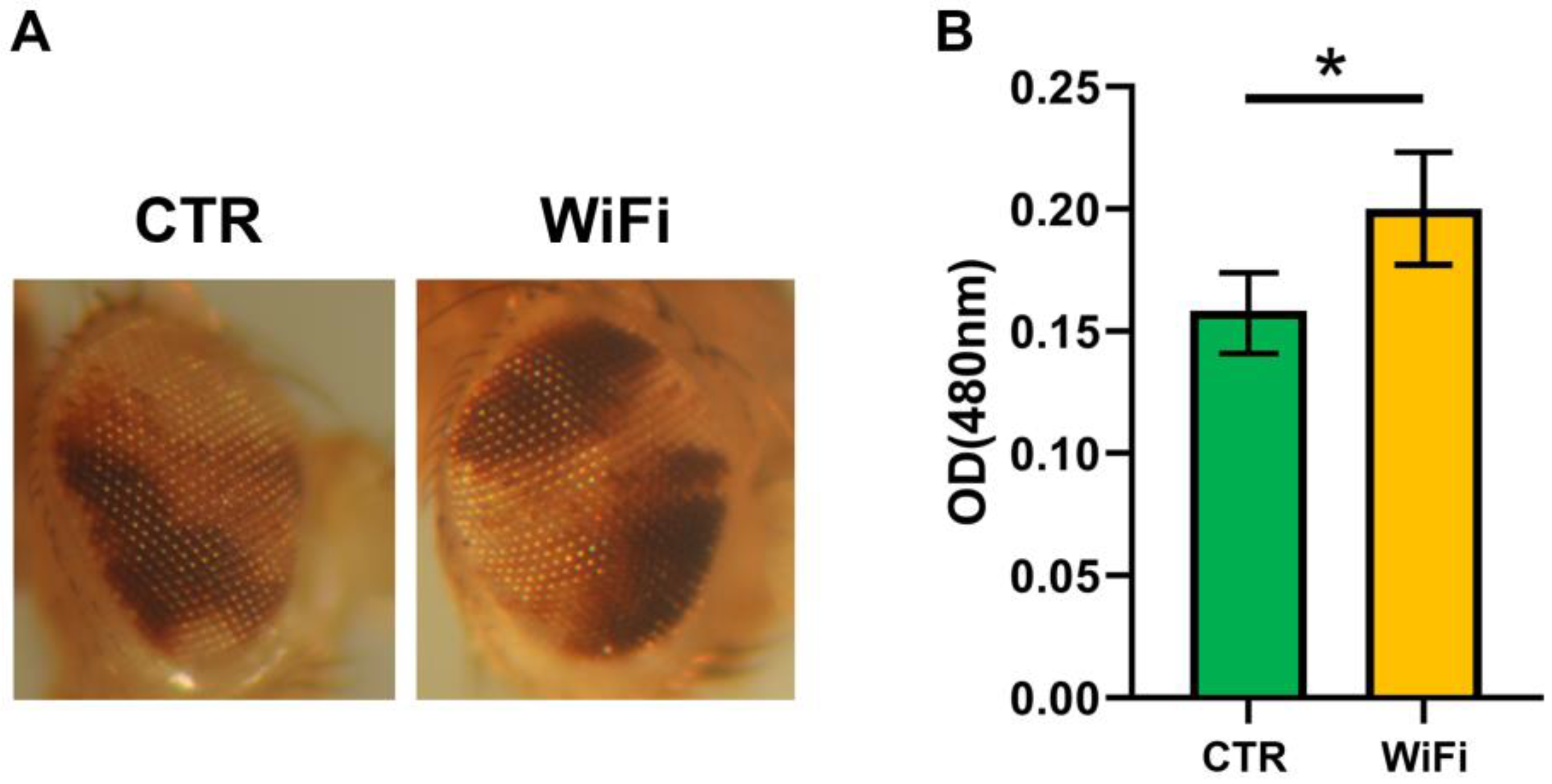 Cells 11 04036 g003 Cells 11 04036 g003