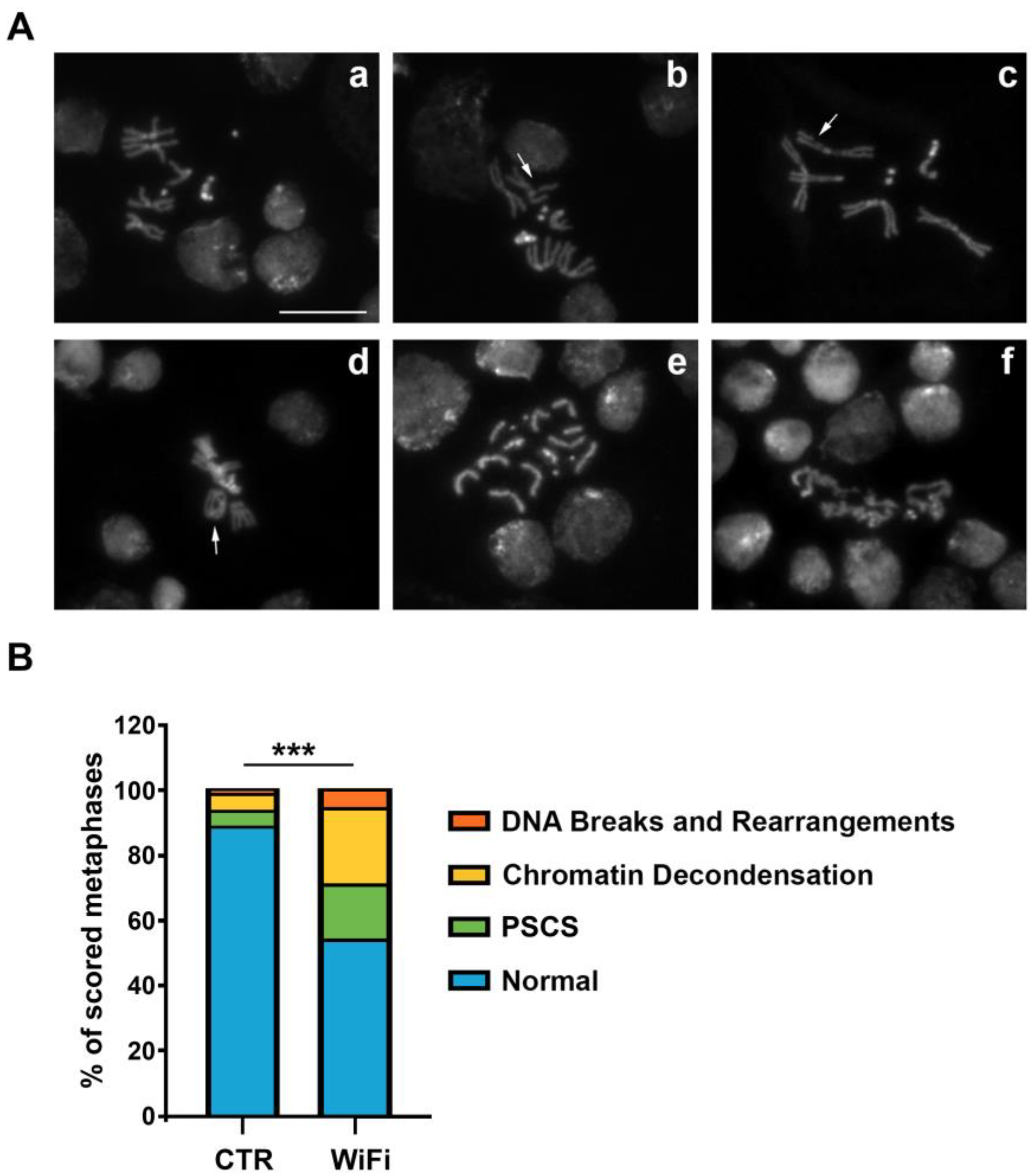 Cells 11 04036 g005 Cells 11 04036 g005