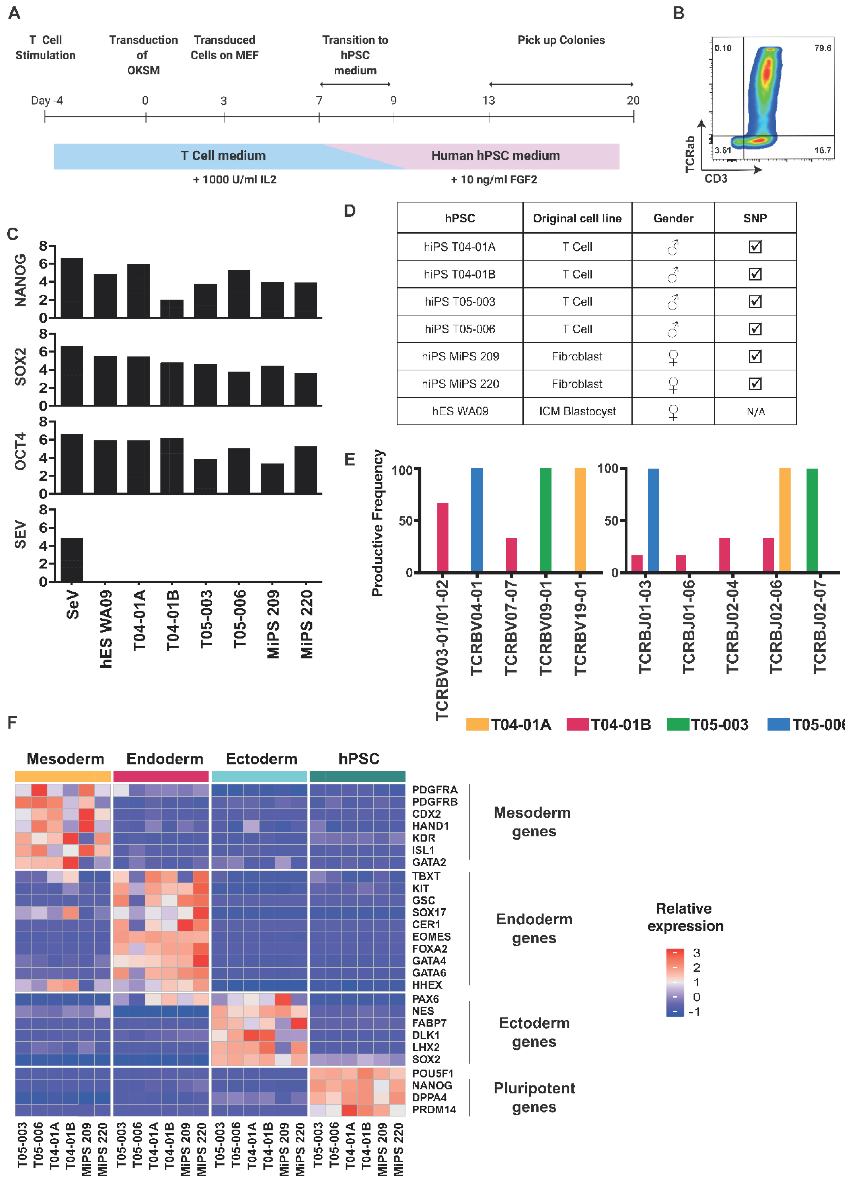 Cells 11 04046 g001 Cells 11 04046 g001