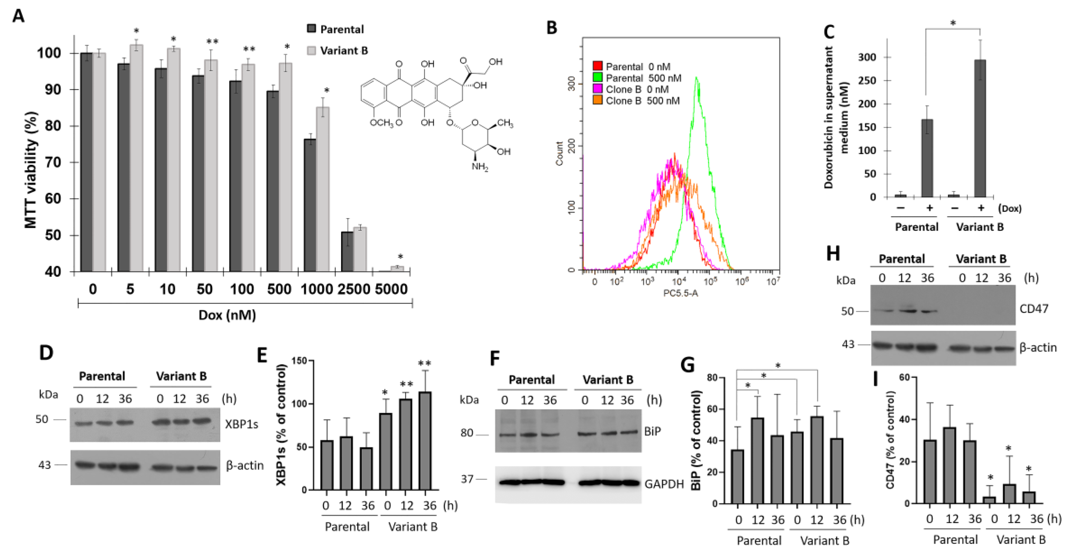 Cells 11 04069 g001 Cells 11 04069 g001