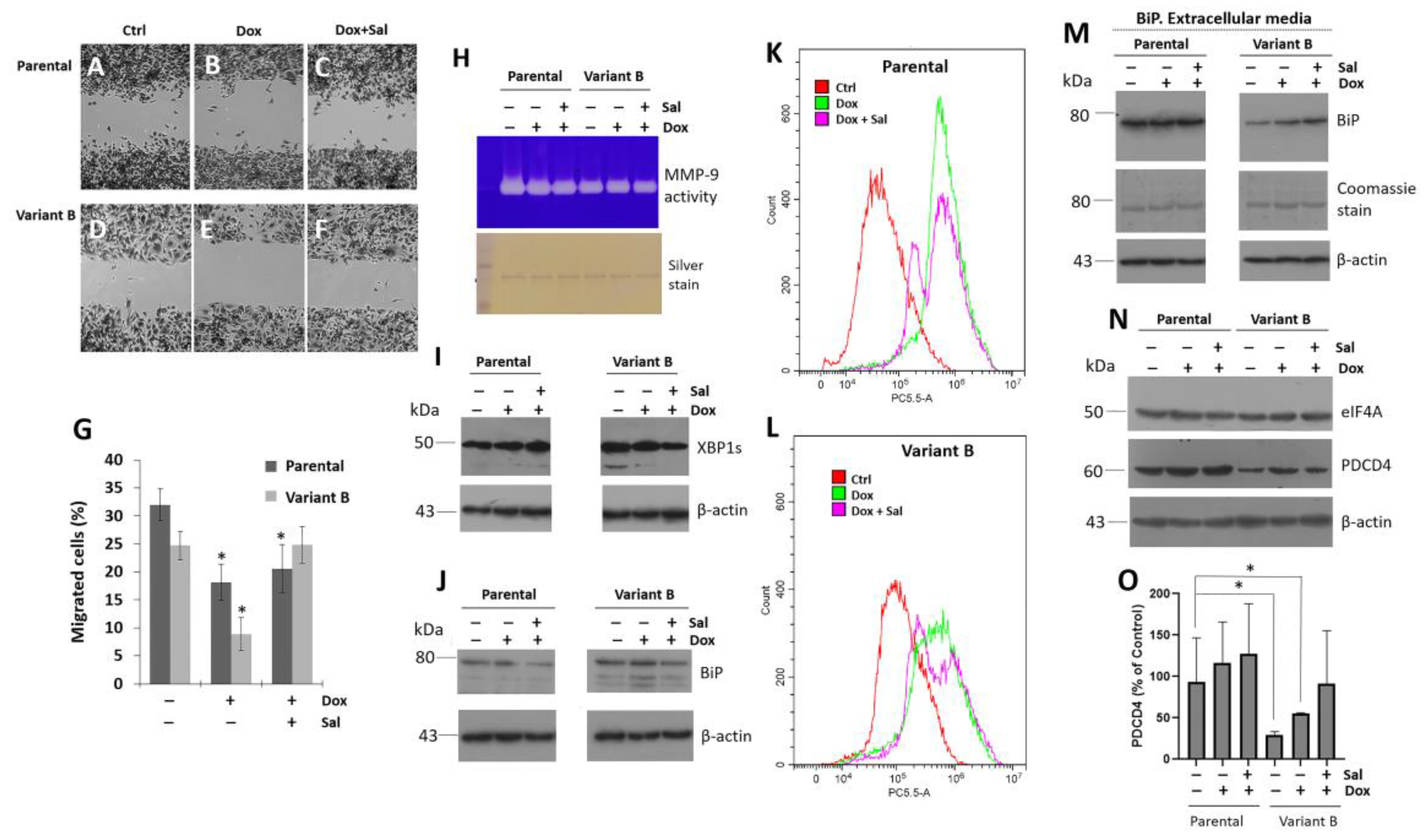 Cells 11 04069 g002 Cells 11 04069 g002
