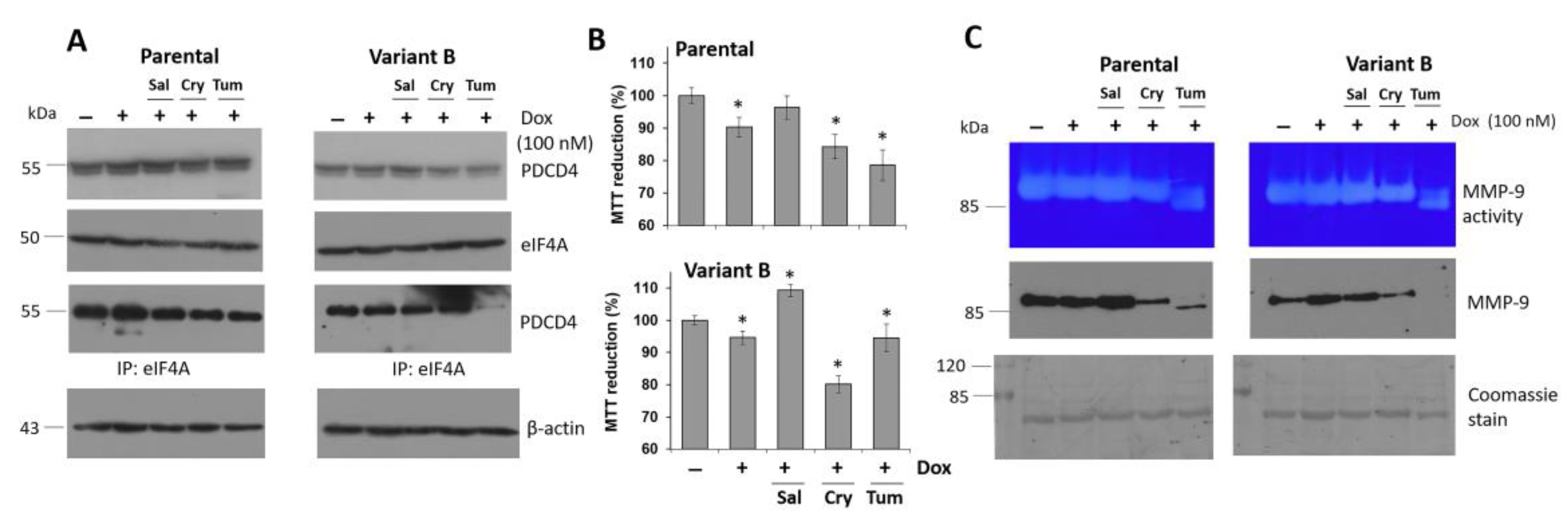 Cells 11 04069 g004 Cells 11 04069 g004