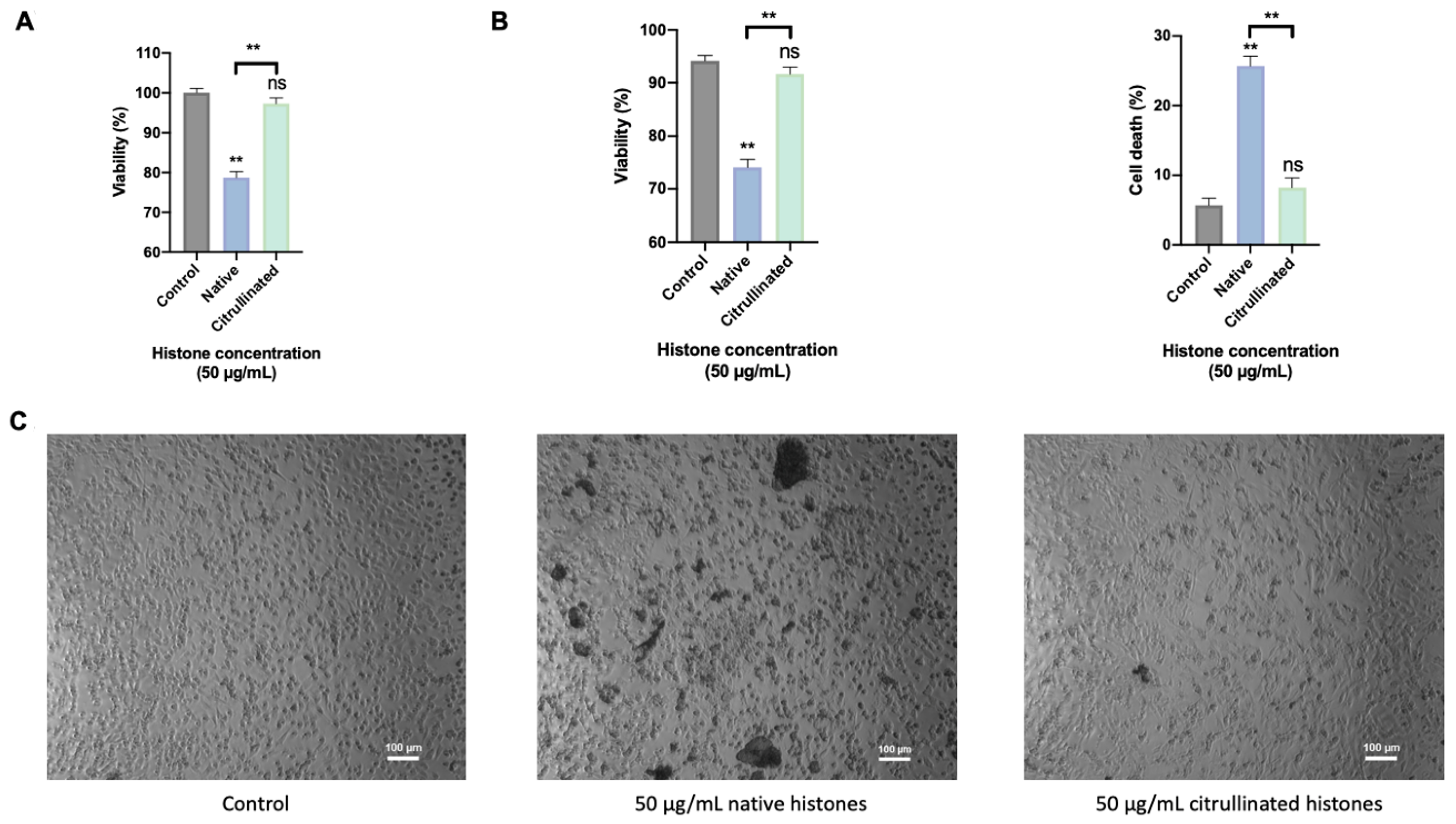 Cells 11 04070 g006 Cells 11 04070 g006
