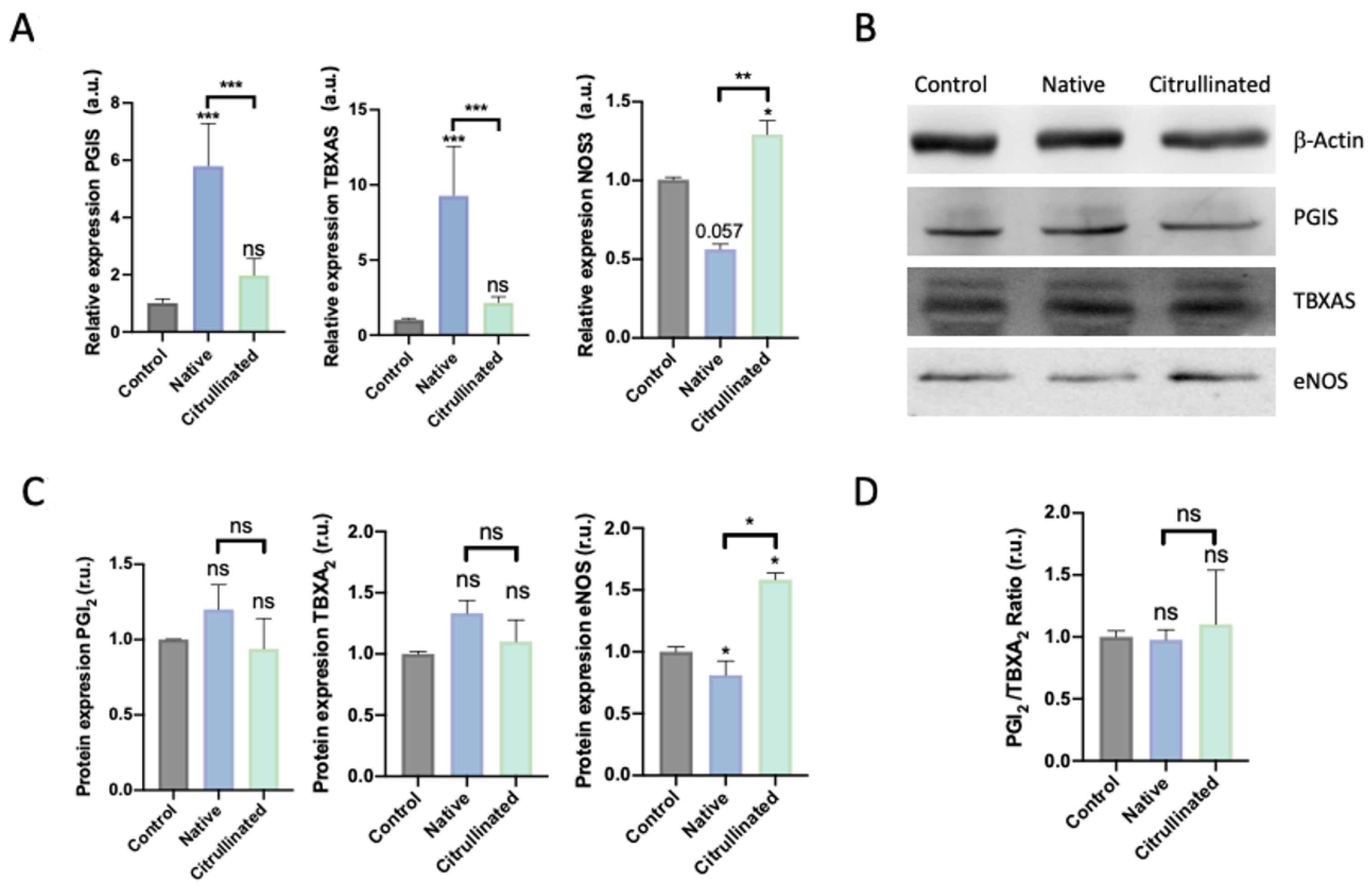 Cells 11 04070 g008 Cells 11 04070 g008
