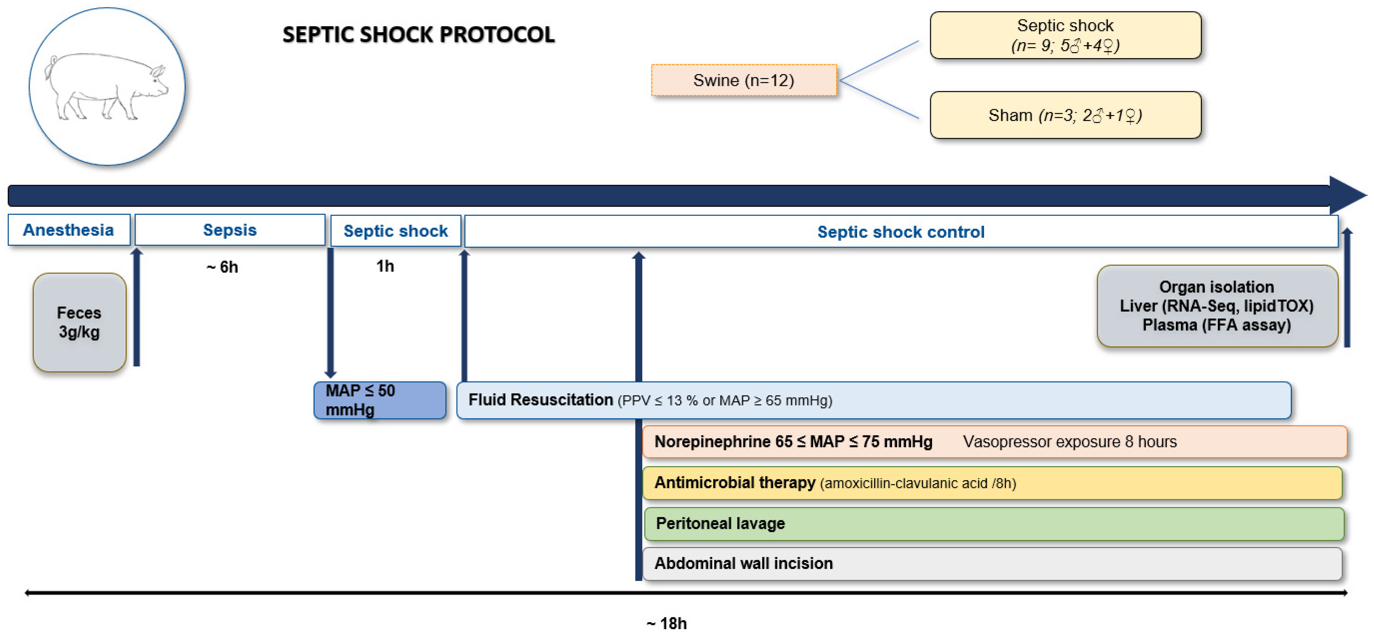 Cells 11 04080 g001 Cells 11 04080 g001