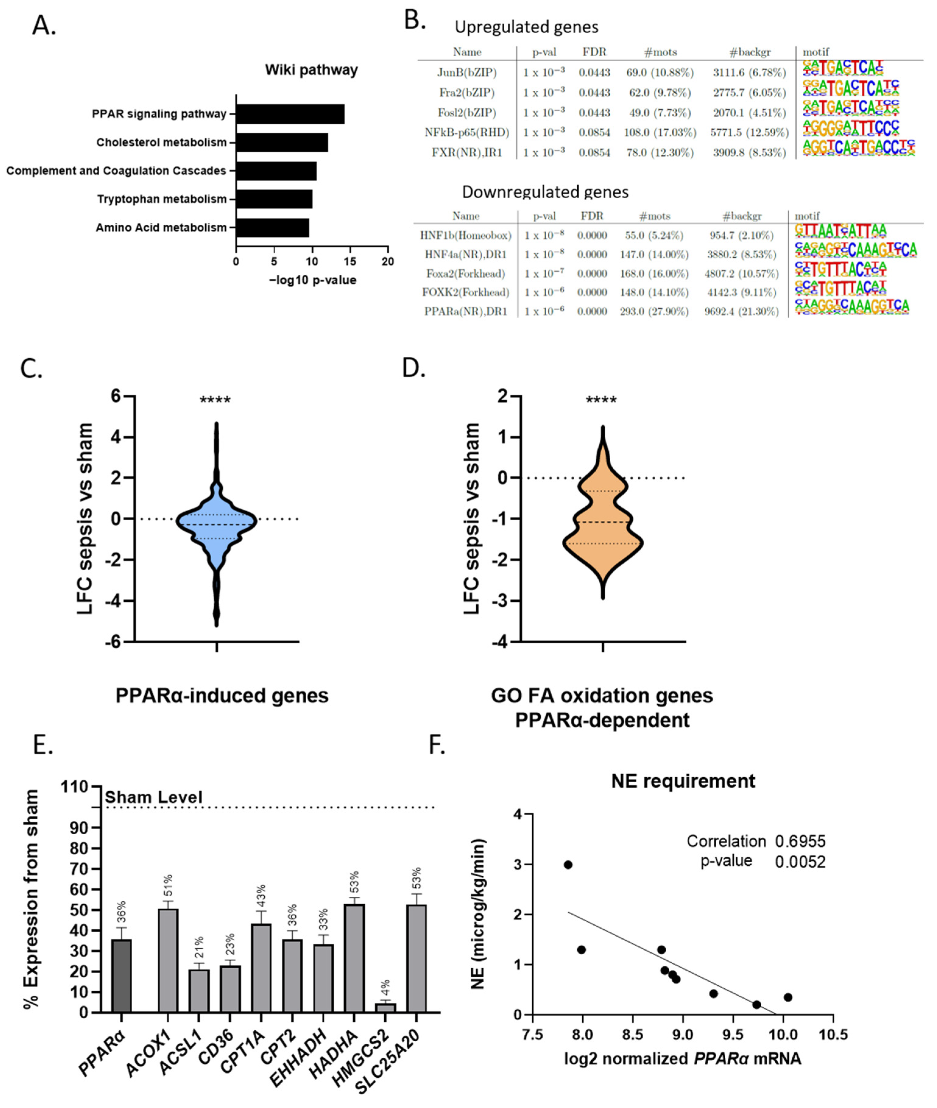 Cells 11 04080 g003 Cells 11 04080 g003