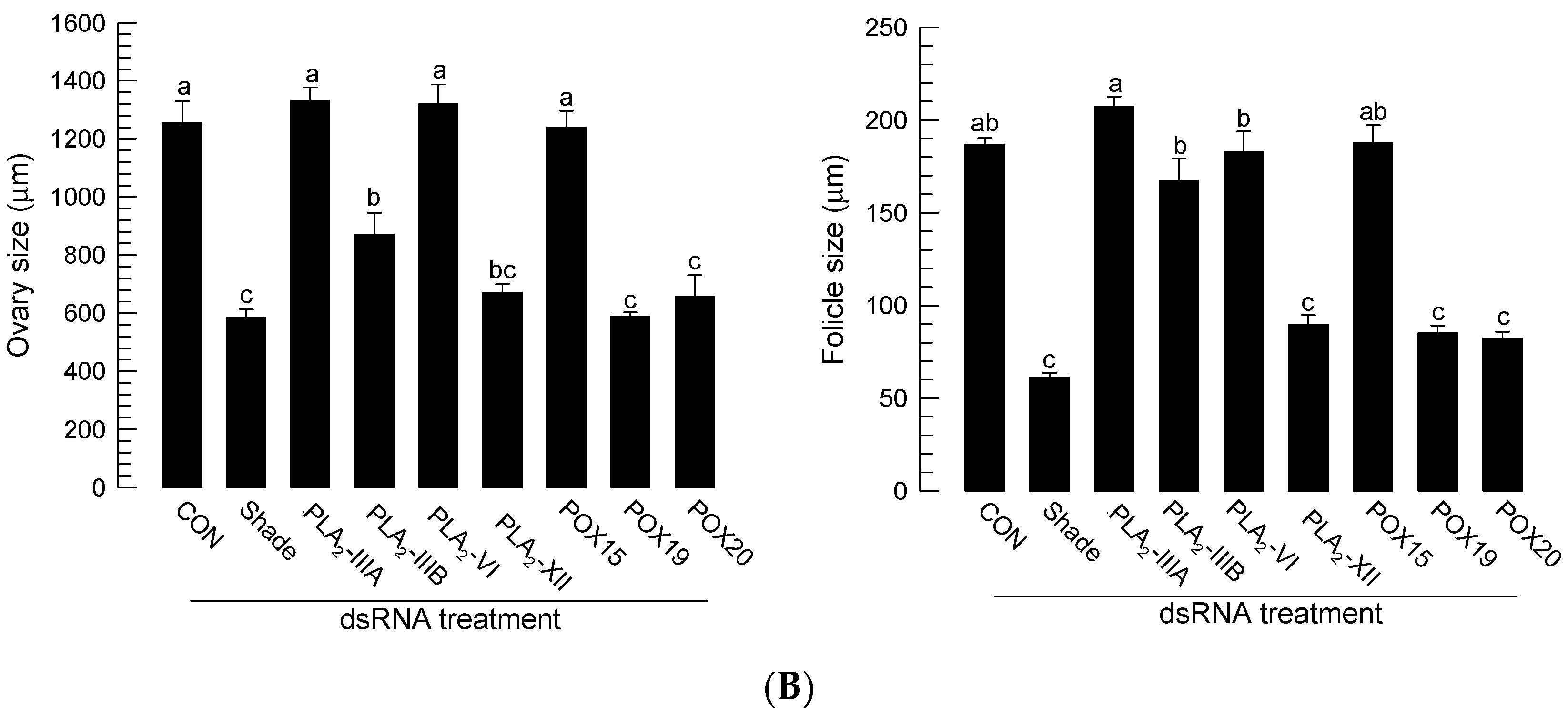 Cells 11 04092 g007b