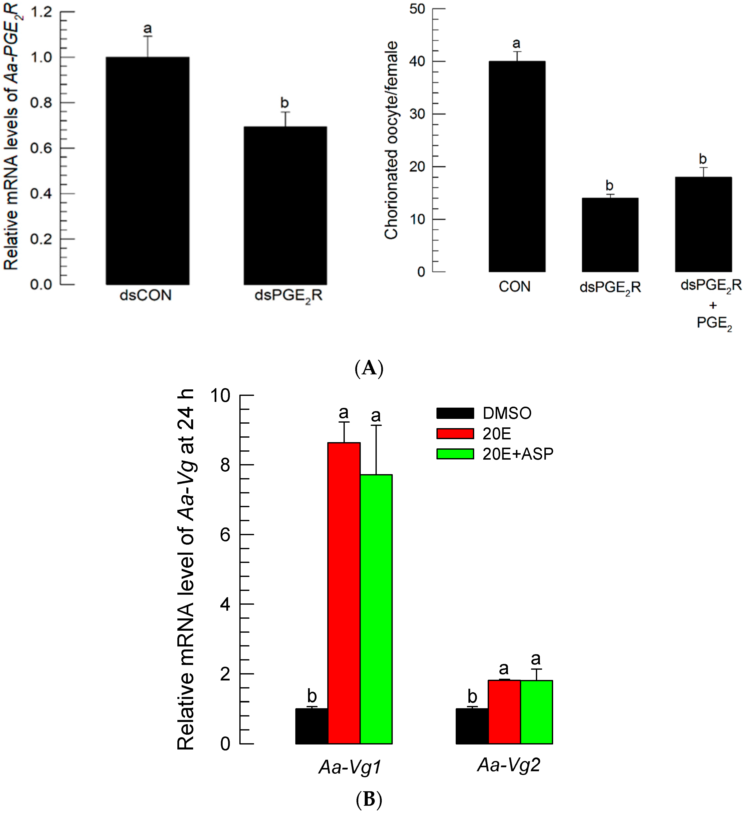 Cells 11 04092 g008b