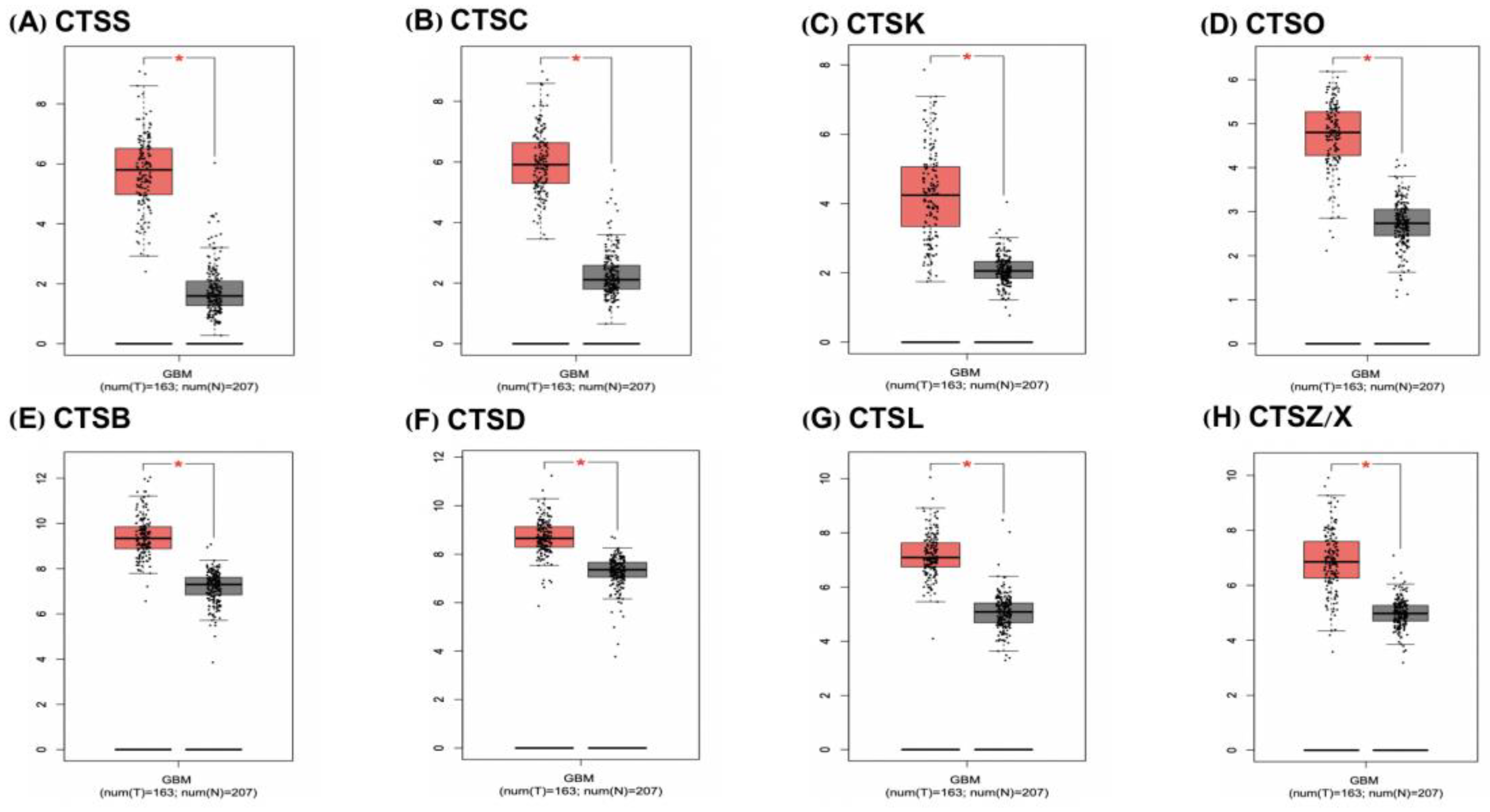 Cells 11 04108 g001 Cells 11 04108 g001