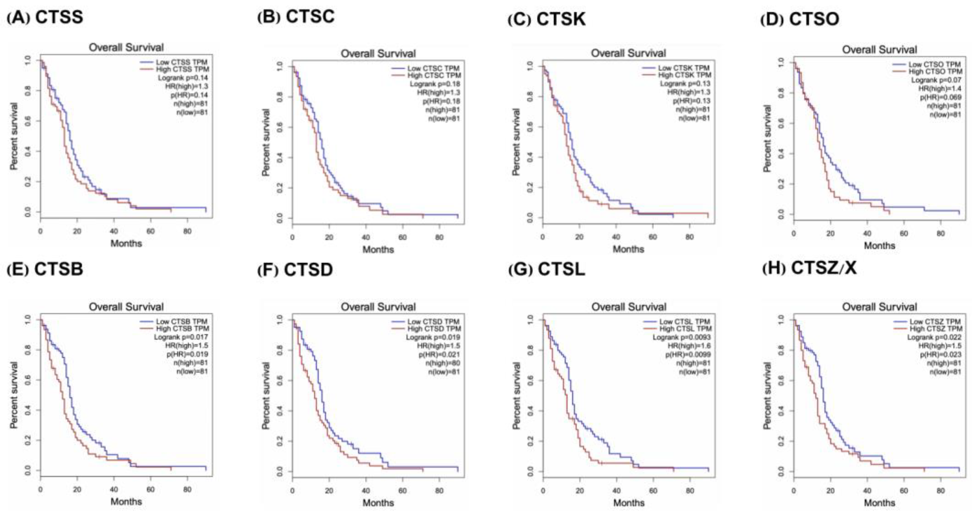 Cells 11 04108 g002 Cells 11 04108 g002