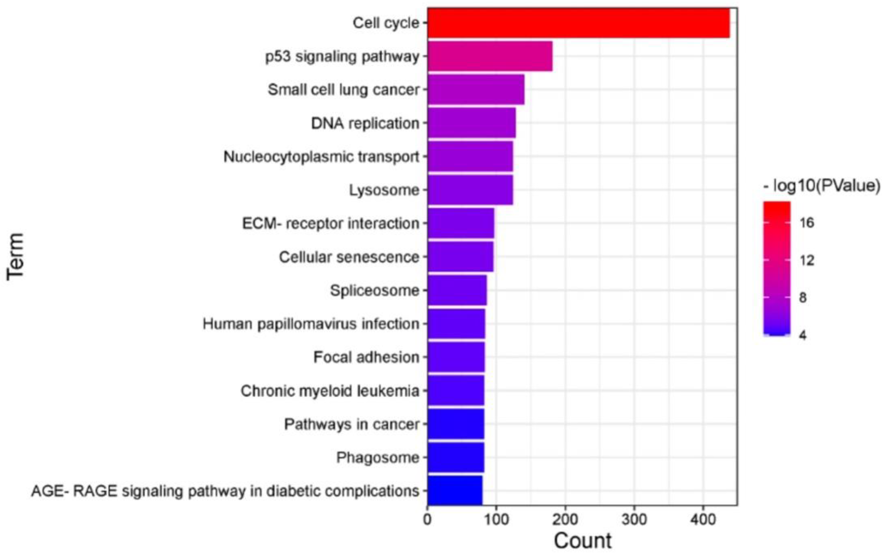 Cells 11 04108 g006 Cells 11 04108 g006