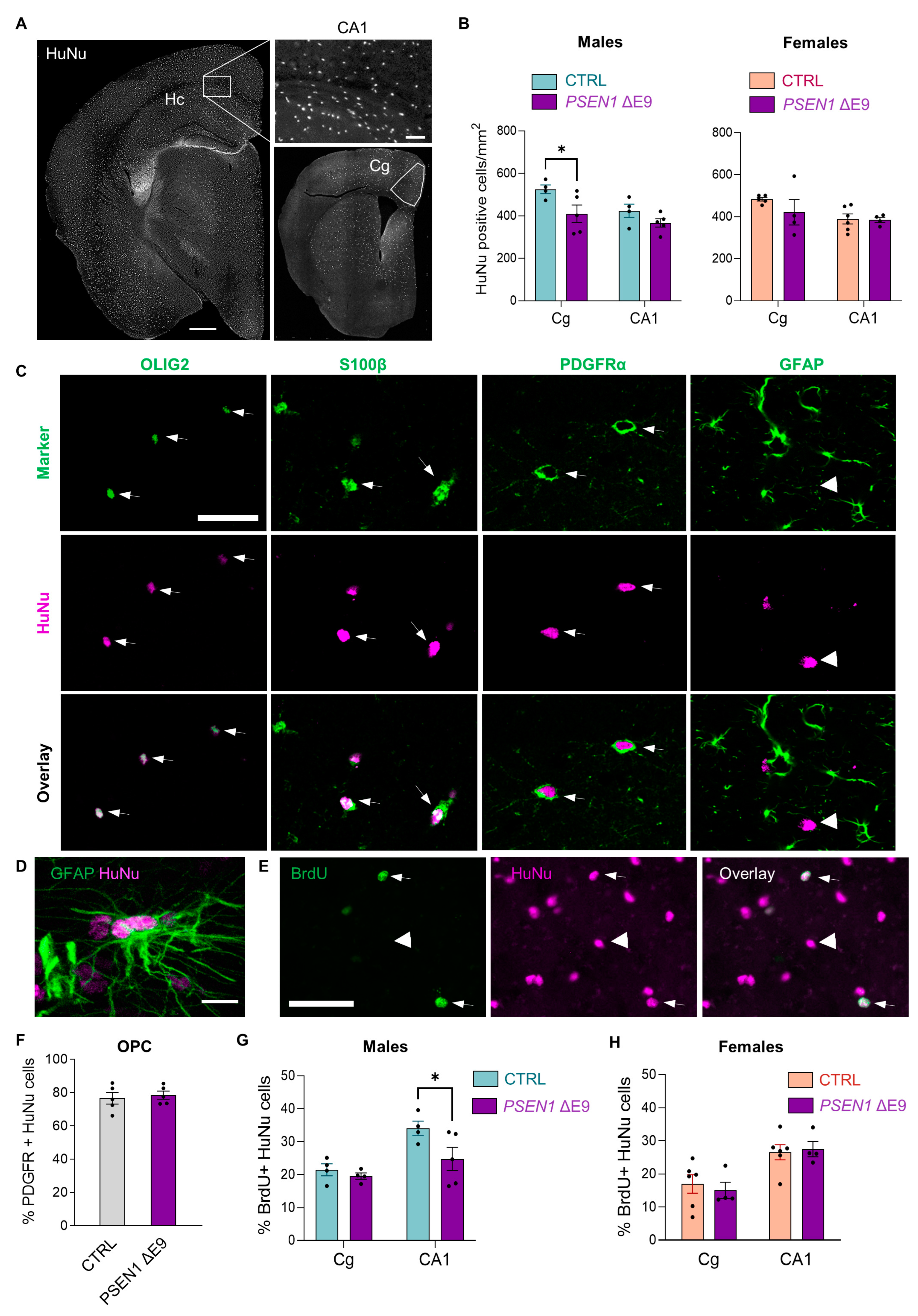 Cells 11 04116 g003